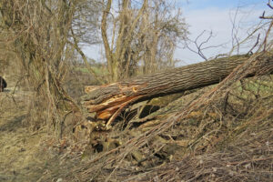 10082013111235 1286 lebensraum 1131 furstenfeld feistritz sudl fritzmuhle 0 004 86