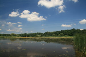 10082013112414 1287 lebensraum 1107 neudauer teiche 66 13