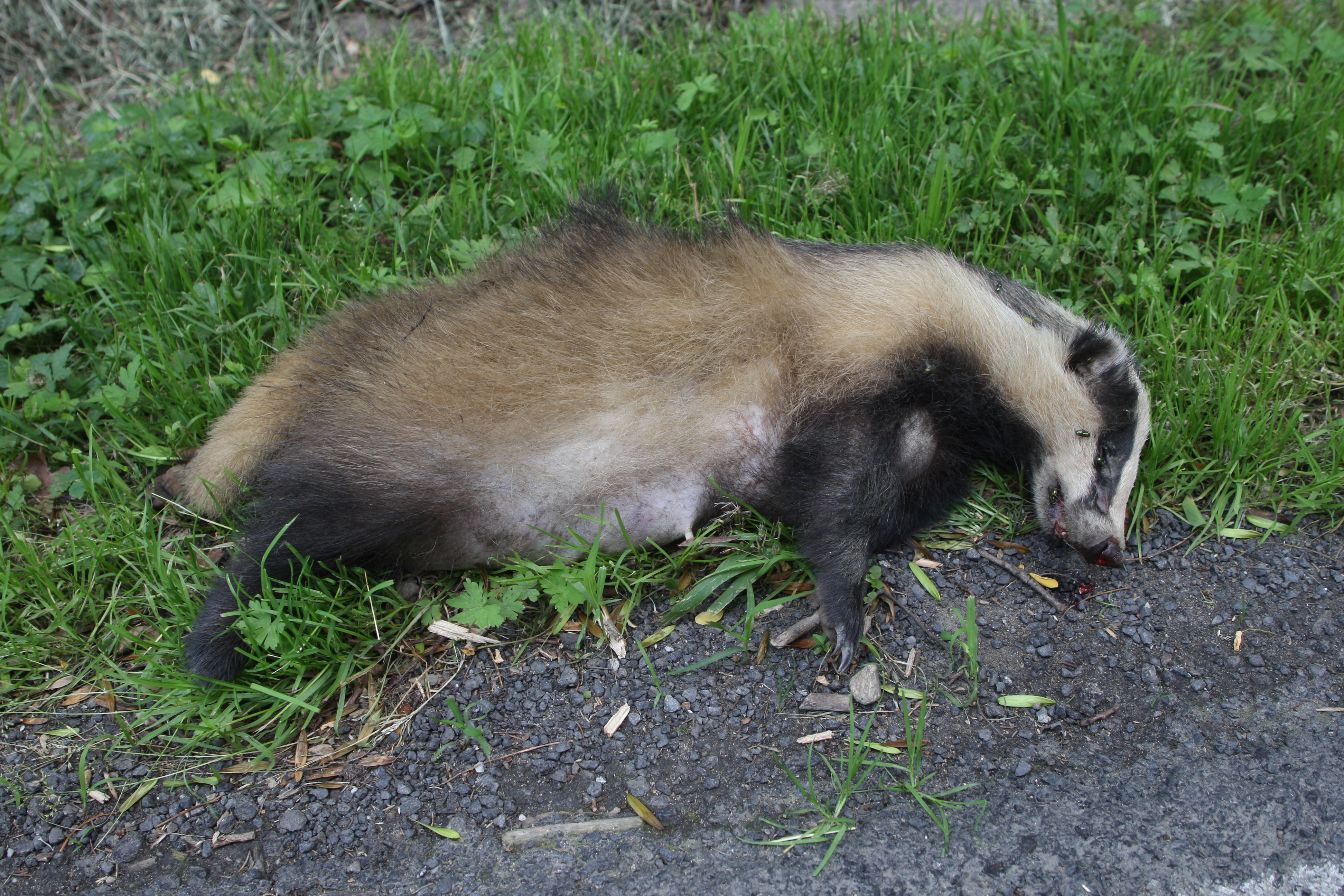 10092013171319 2044 art 1002 phwk0389 foto absenger