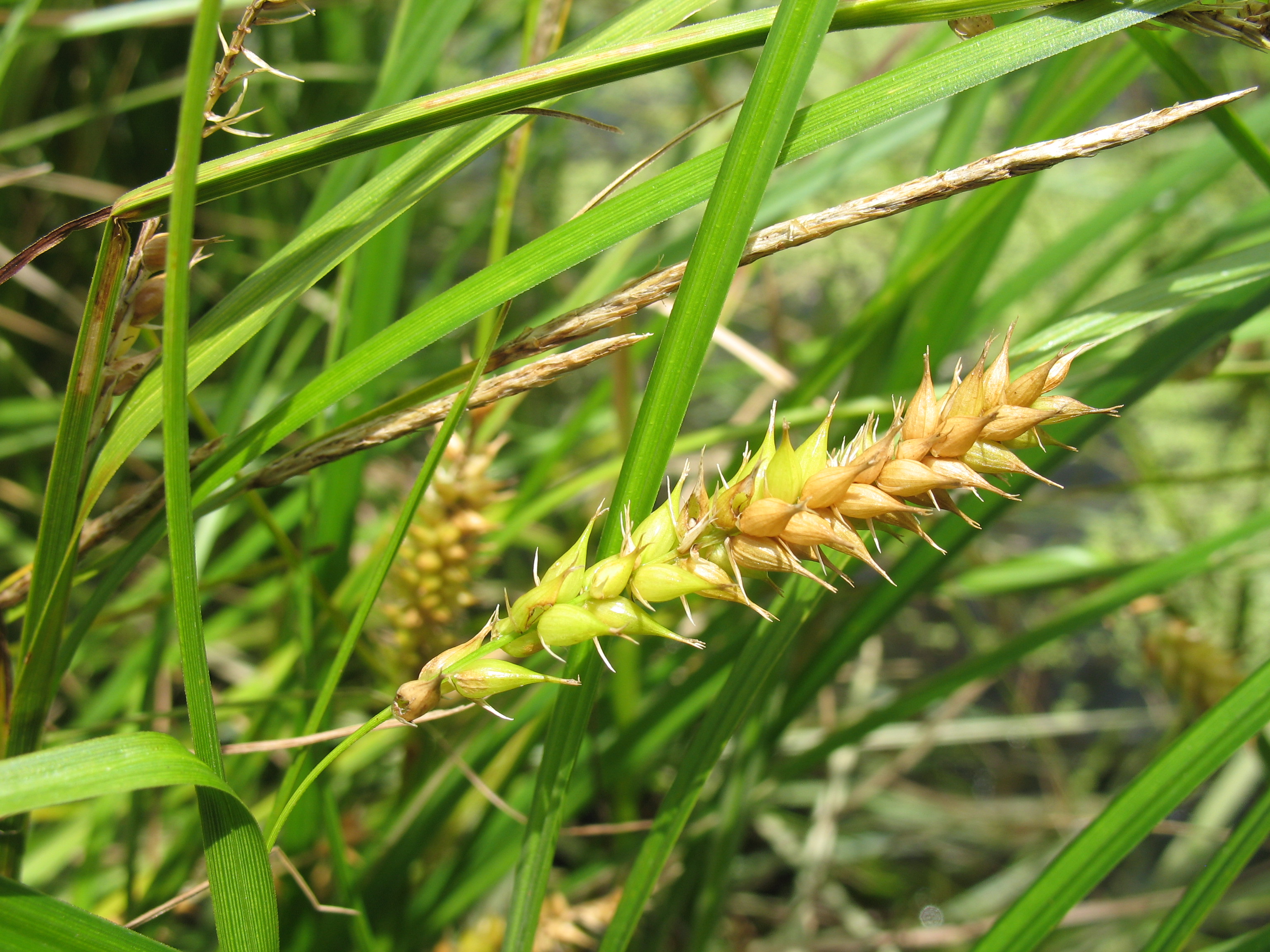 11052013170256 326 art 367 img 5357