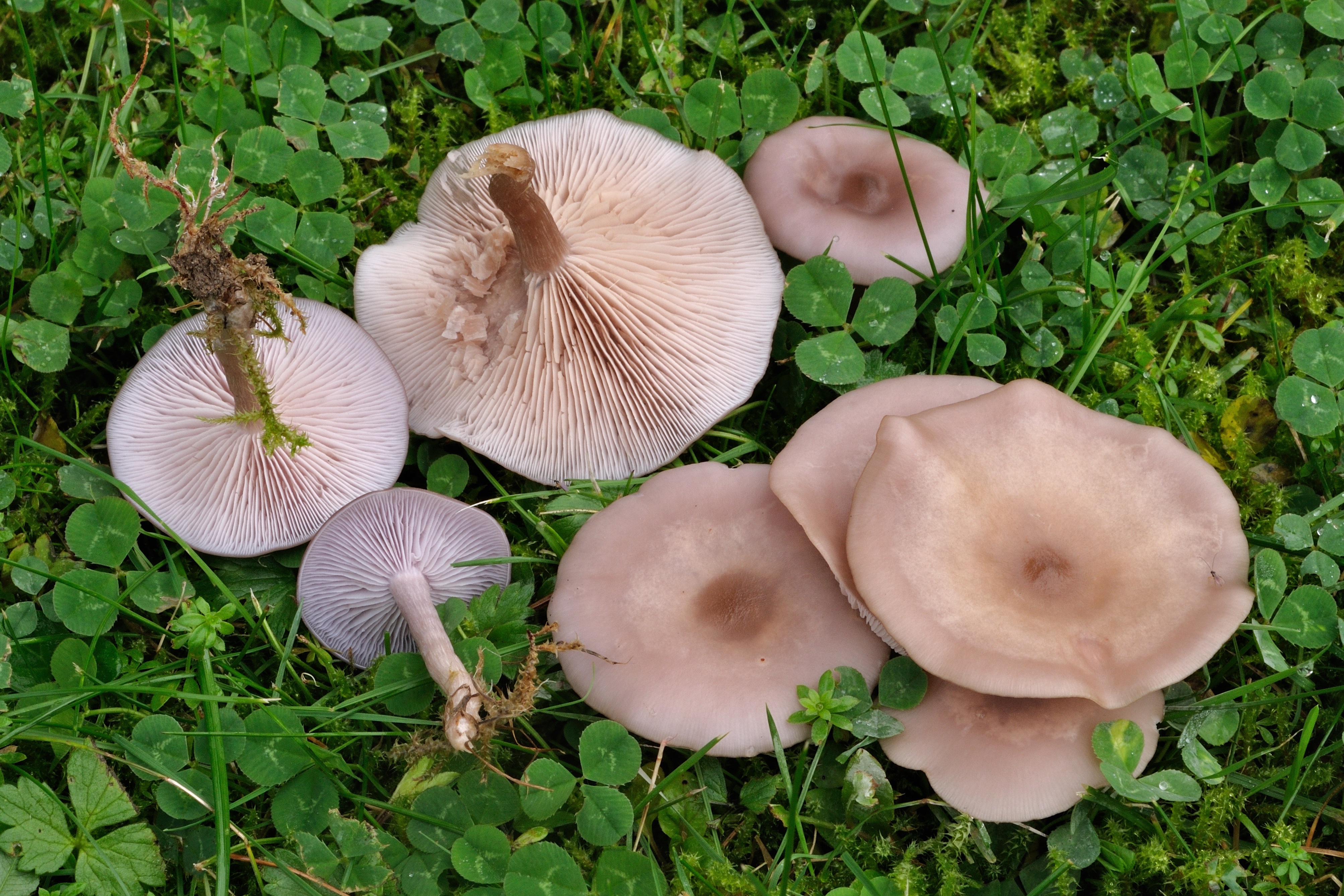 11052018150728 3587 art 2156 2009 09 19 herbersteinklamm 003