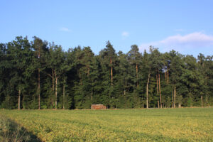 11082013145839 1296 lebensraum 1114 0 027