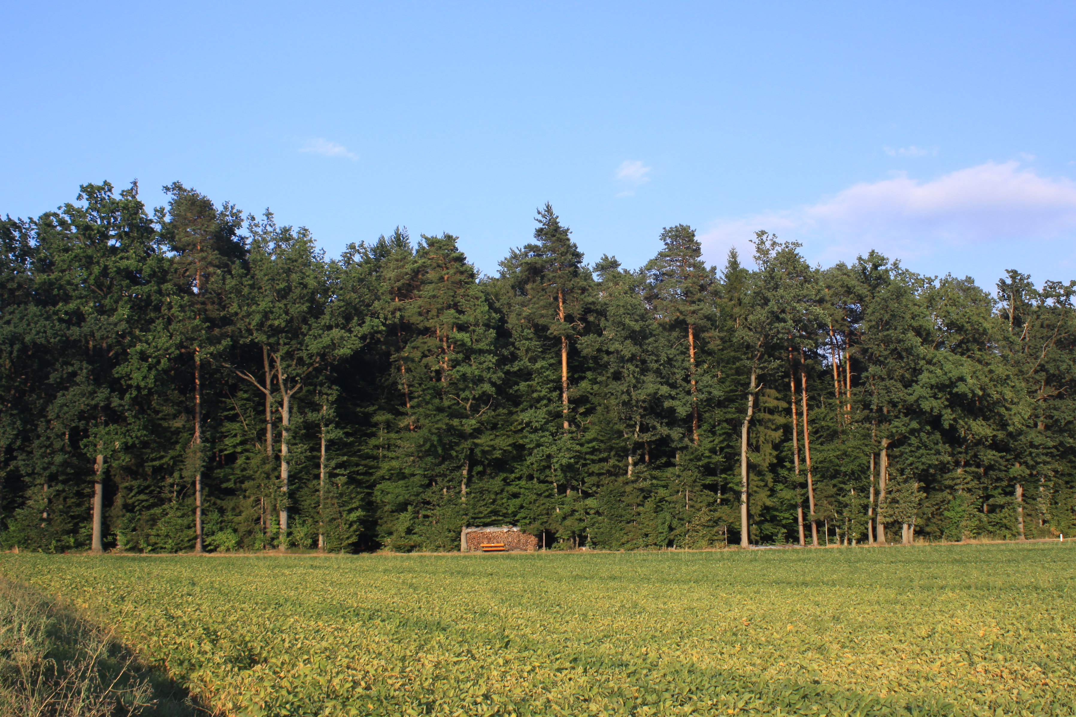 11082013145839 1296 lebensraum 1114 0 027