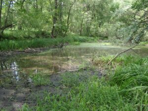 11082013150539 1297 lebensraum 1106 07250103