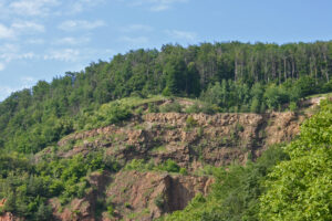 11082013152253 1300 lebensraum 1130 glbgkgklausen bab img 1481 1 kopie