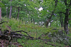 11082013162324 1302 lebensraum 1115 glbgkgklausen bab img 1406 4