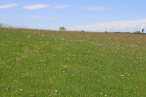 11082013163103 1304 lebensraum 1122 kokotin breg budinci goricko slowenien 321 239