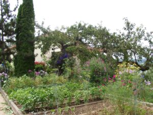 11082013171539 1307 lebensraum 1135 07260092