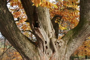 11082013175020 1311 lebensraum 1134 herberstein 01 9