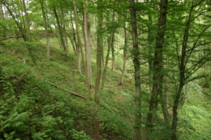 11082013180919 1313 lebensraum 1113 vausulz img 1868 8