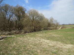 11082013192458 1317 lebensraum 1164 furstenfeld feistritz sudl fritzmuhle 0 004 58