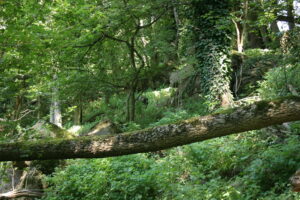 11082013220642 1325 lebensraum 1108 glbgkgwest vausulz tamcommstandort img 3023 13