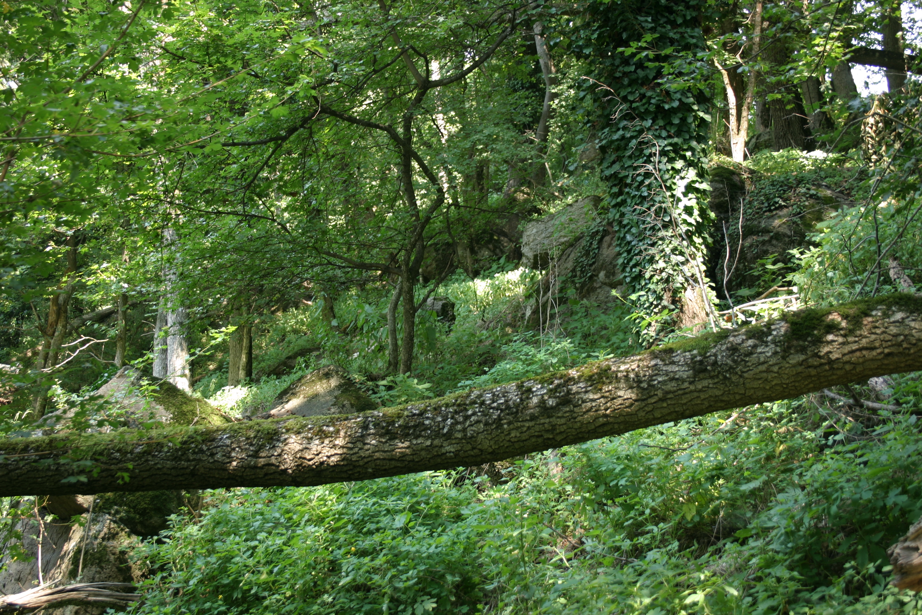 11082013220642 1325 lebensraum 1108 glbgkgwest vausulz tamcommstandort img 3023 13