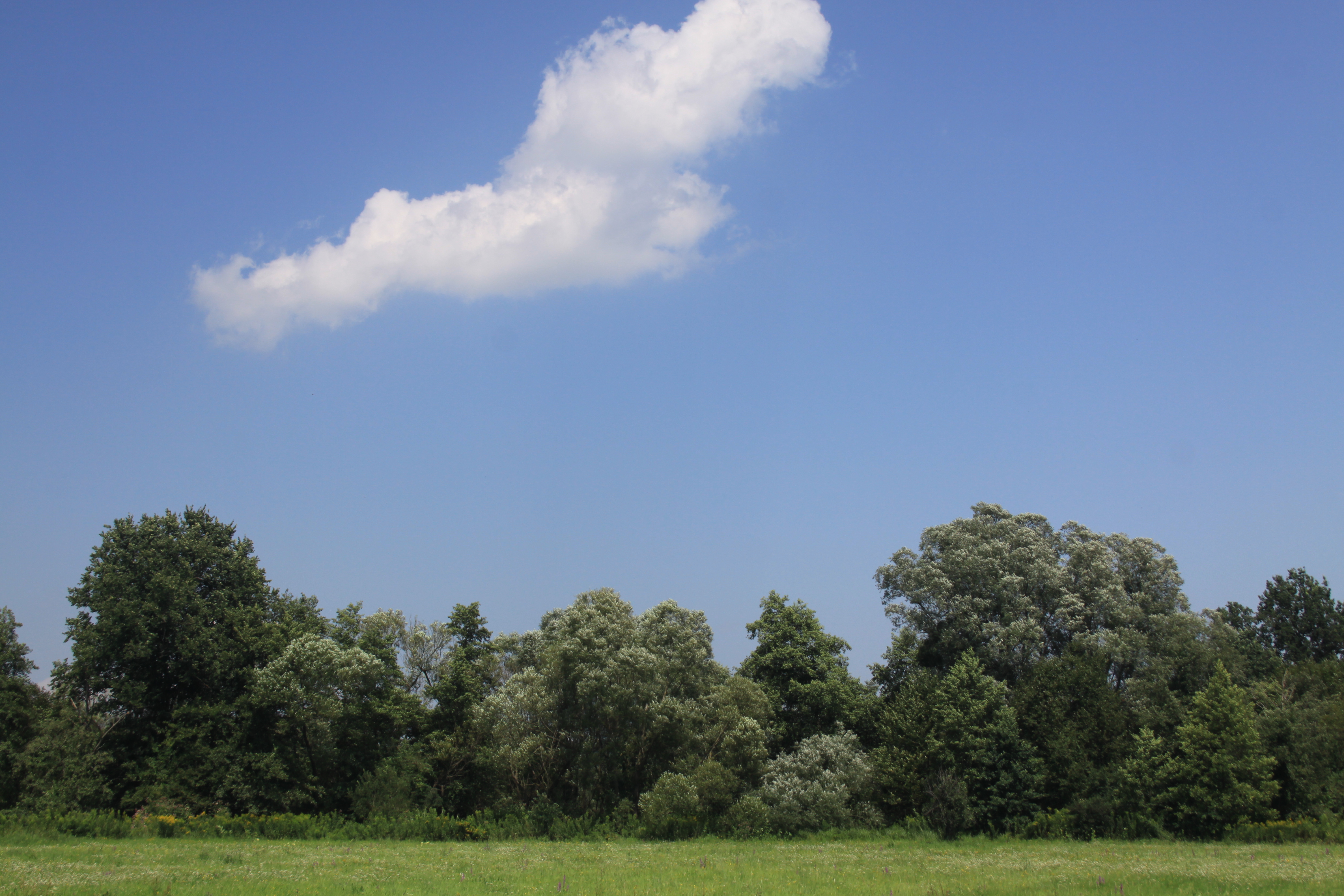 11082013222951 1327 lebensraum 1112 unterrohr 82 57