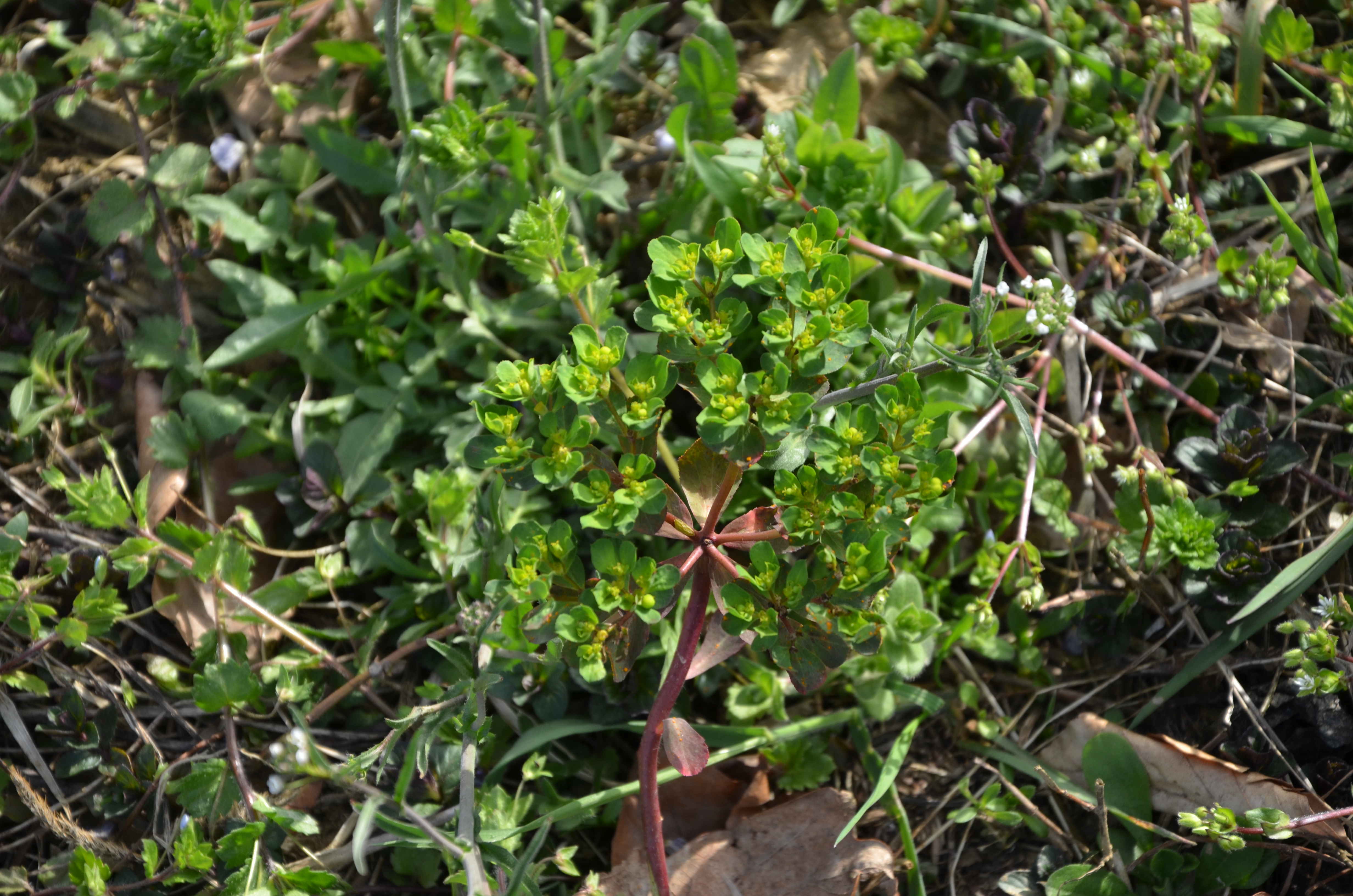 12042018173406 3505 art 2111 dsc 1384