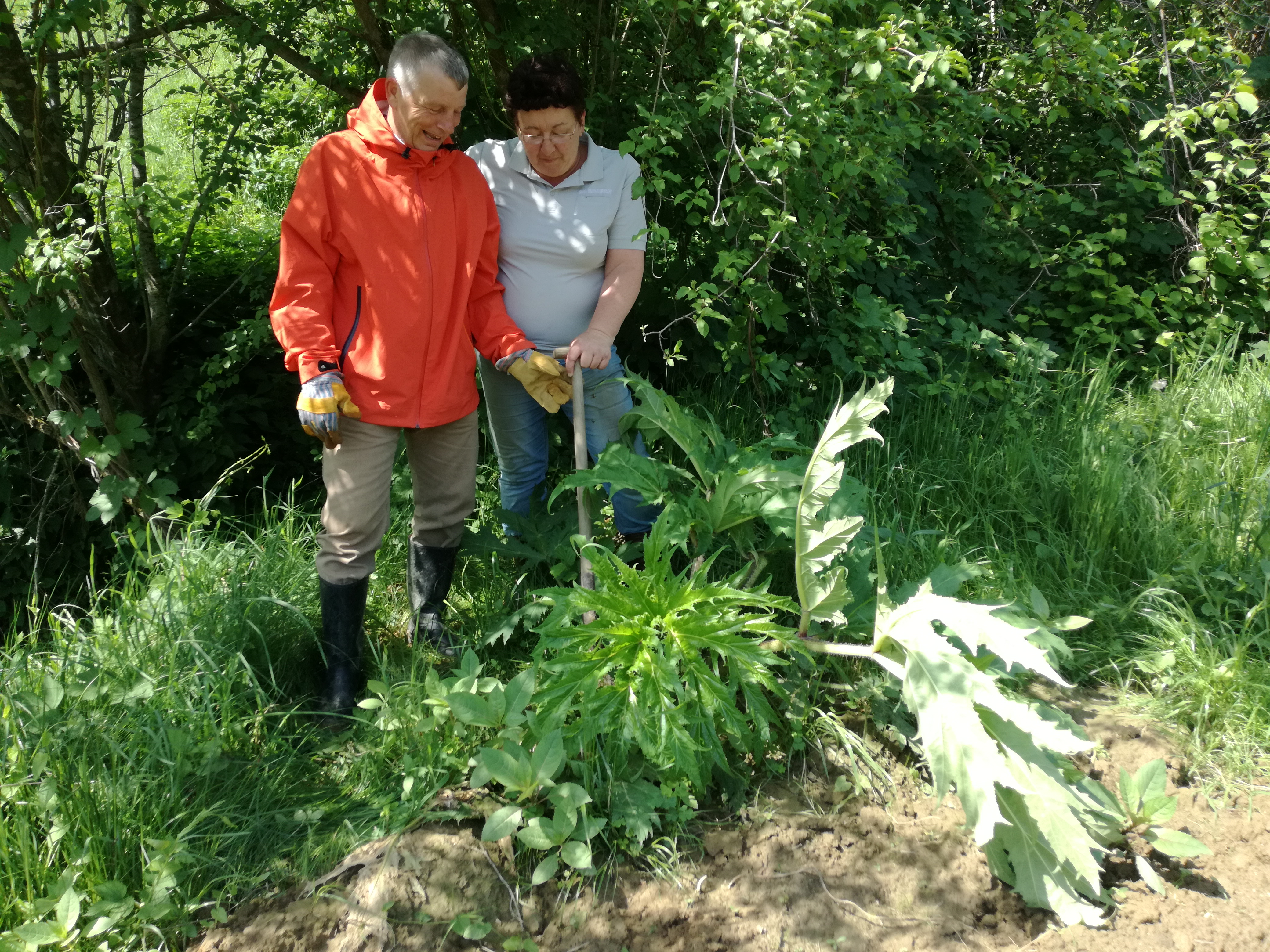 12052018072554 3602 art 1748 img 20180506 121543