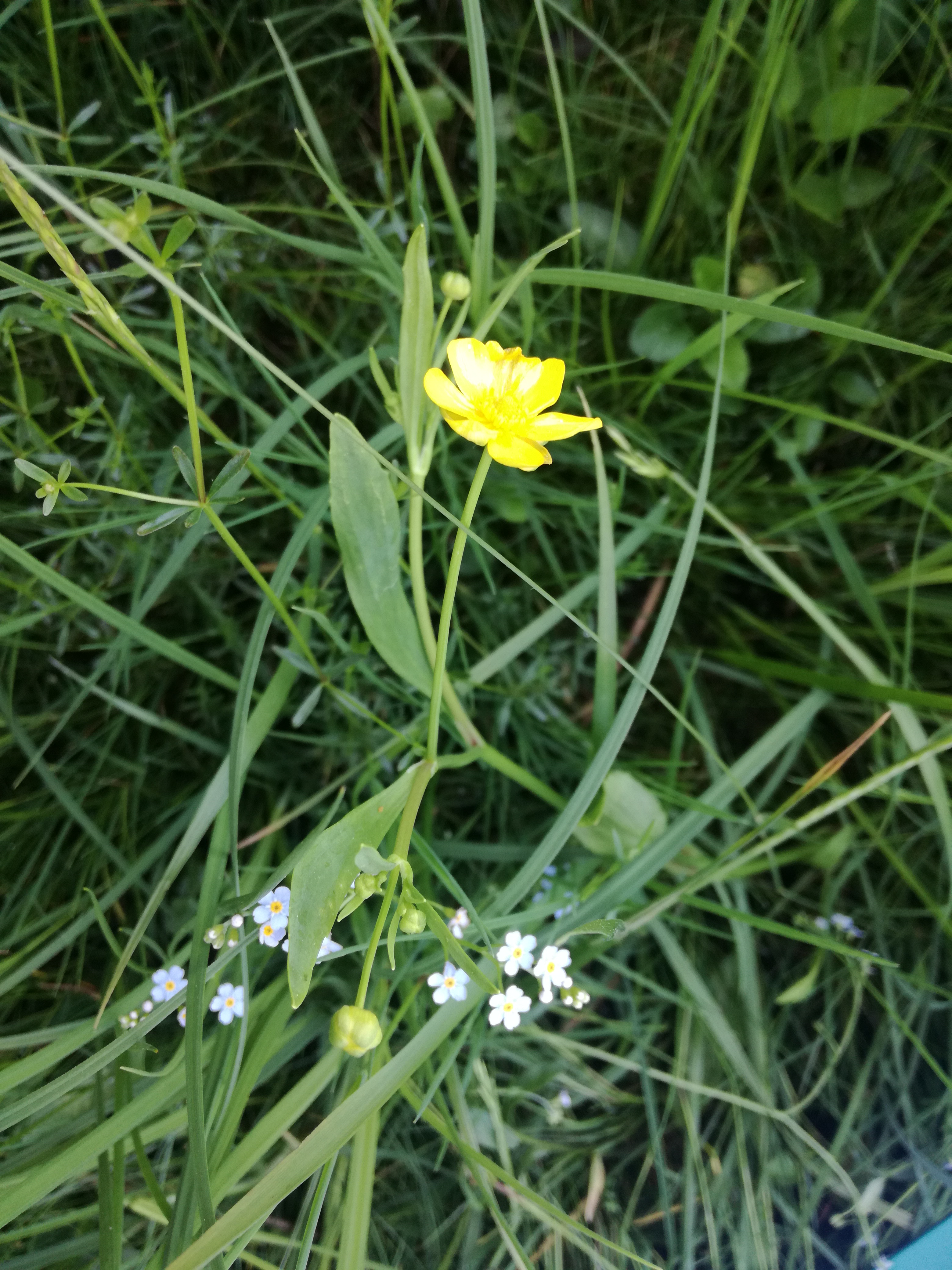 12052018073255 3603 art 1826 img 20180509 144523