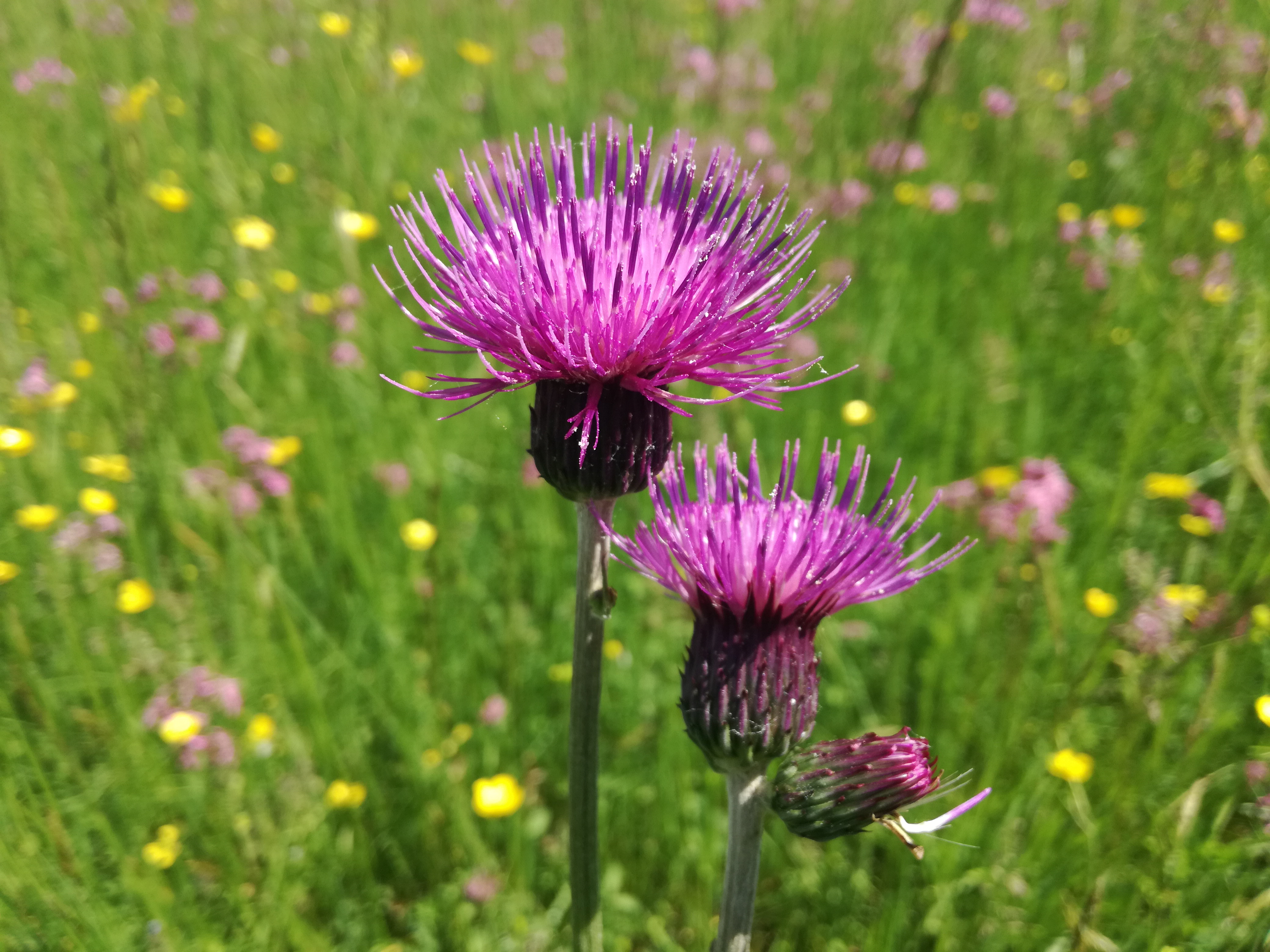 12052018074037 3604 art 328 img 20180509 141202