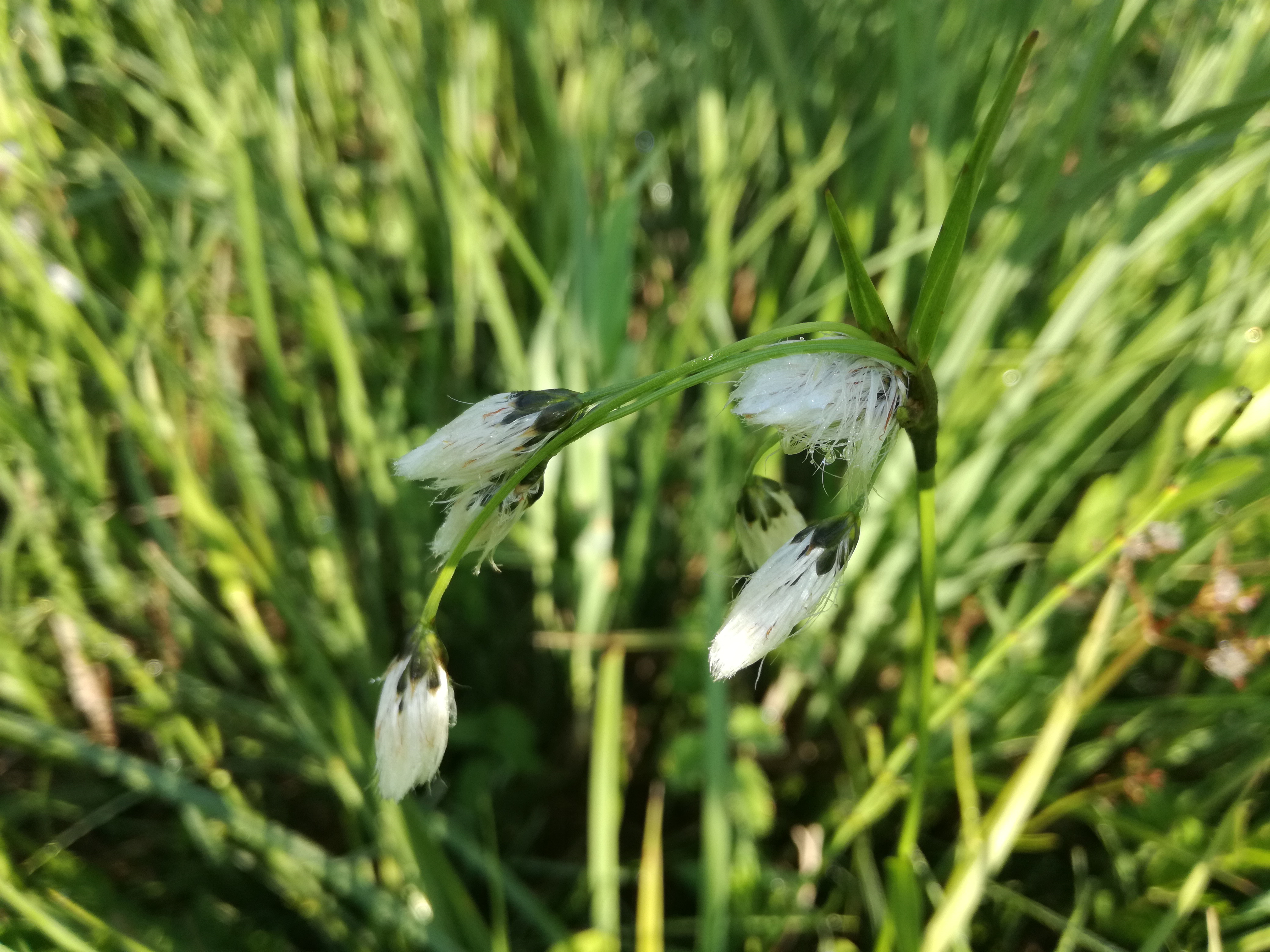 12052018151933 3605 art 2167 img 20180512 081831 1