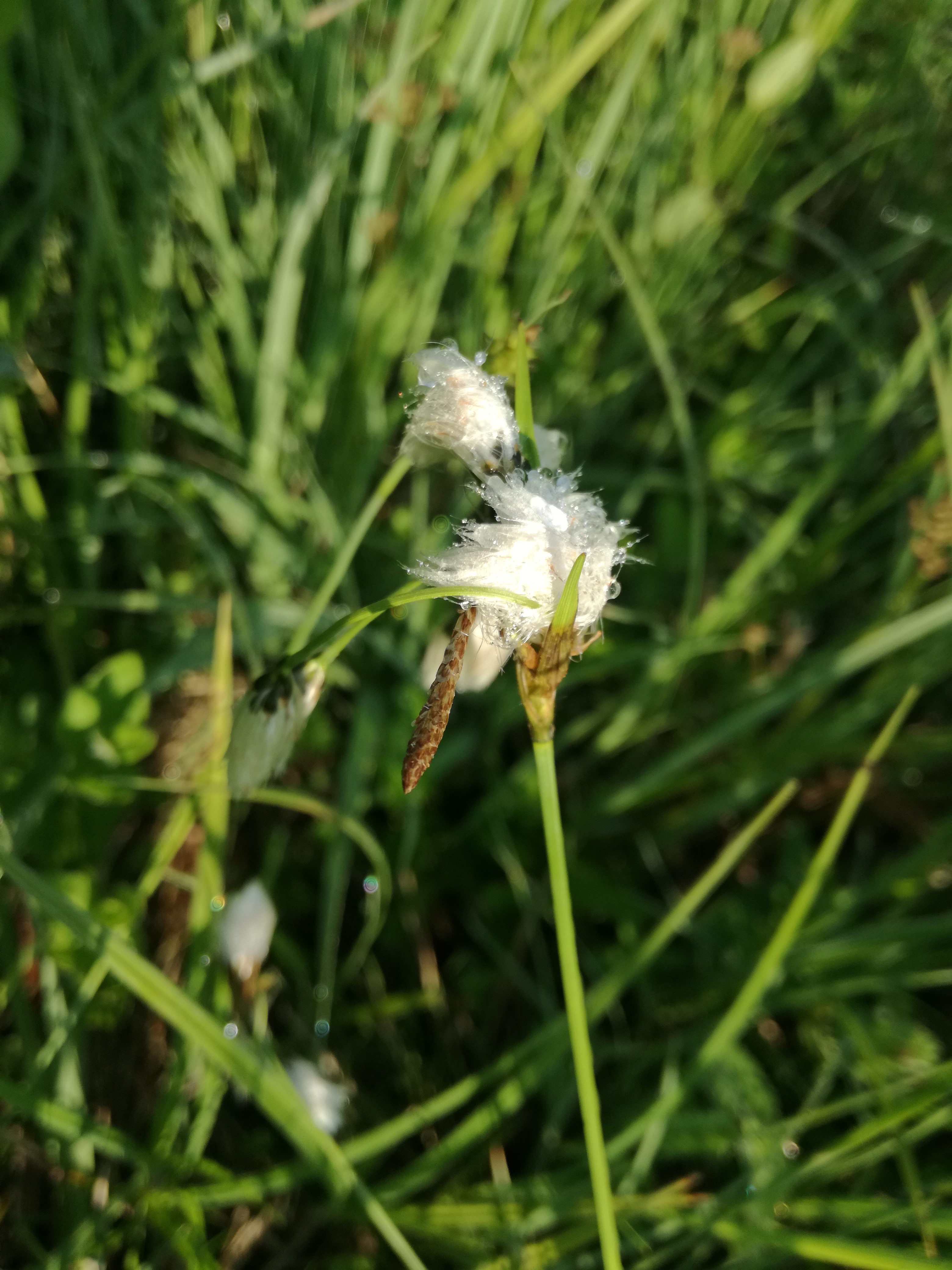 12052018152024 3606 art 2167 img 20180512 081724 2