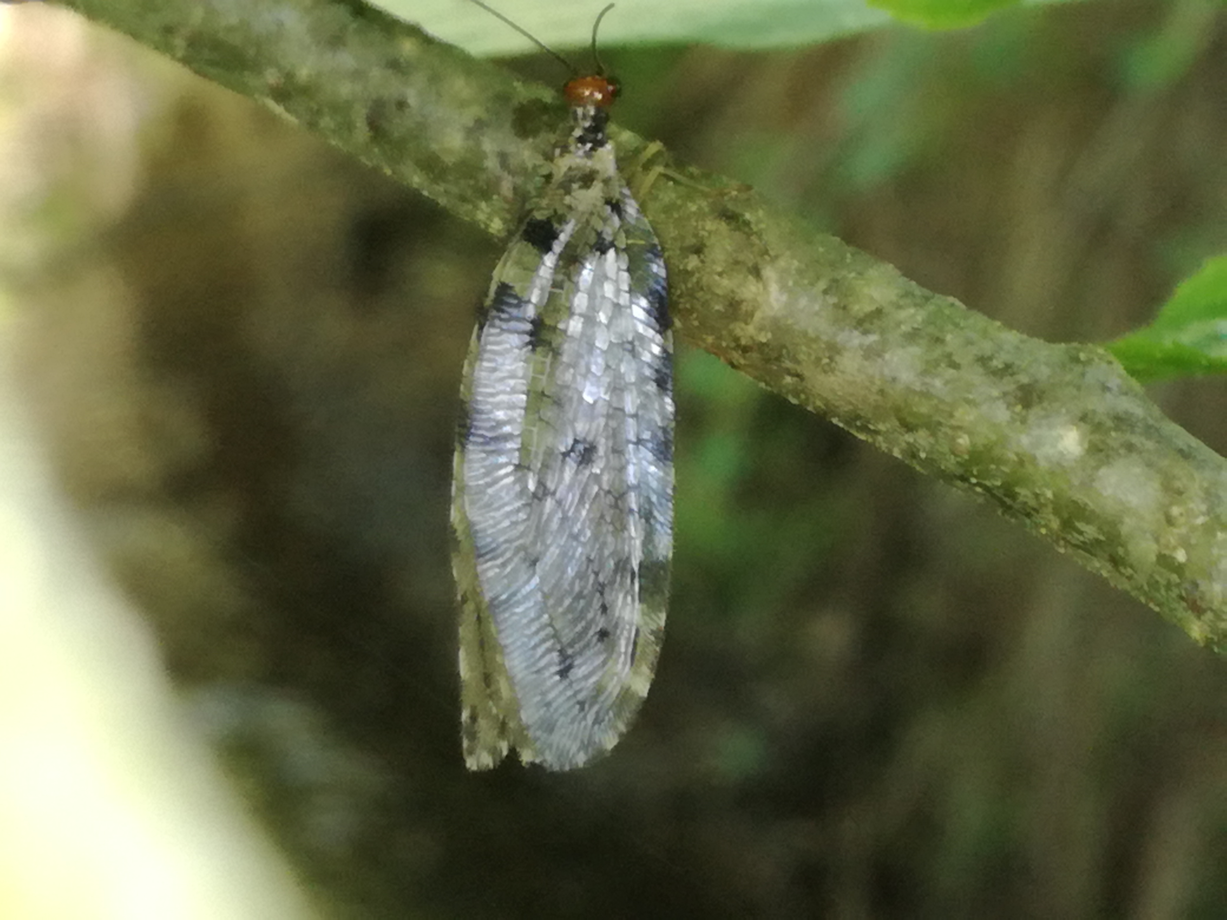 12052018153821 3609 art 895 img 20180512 095837