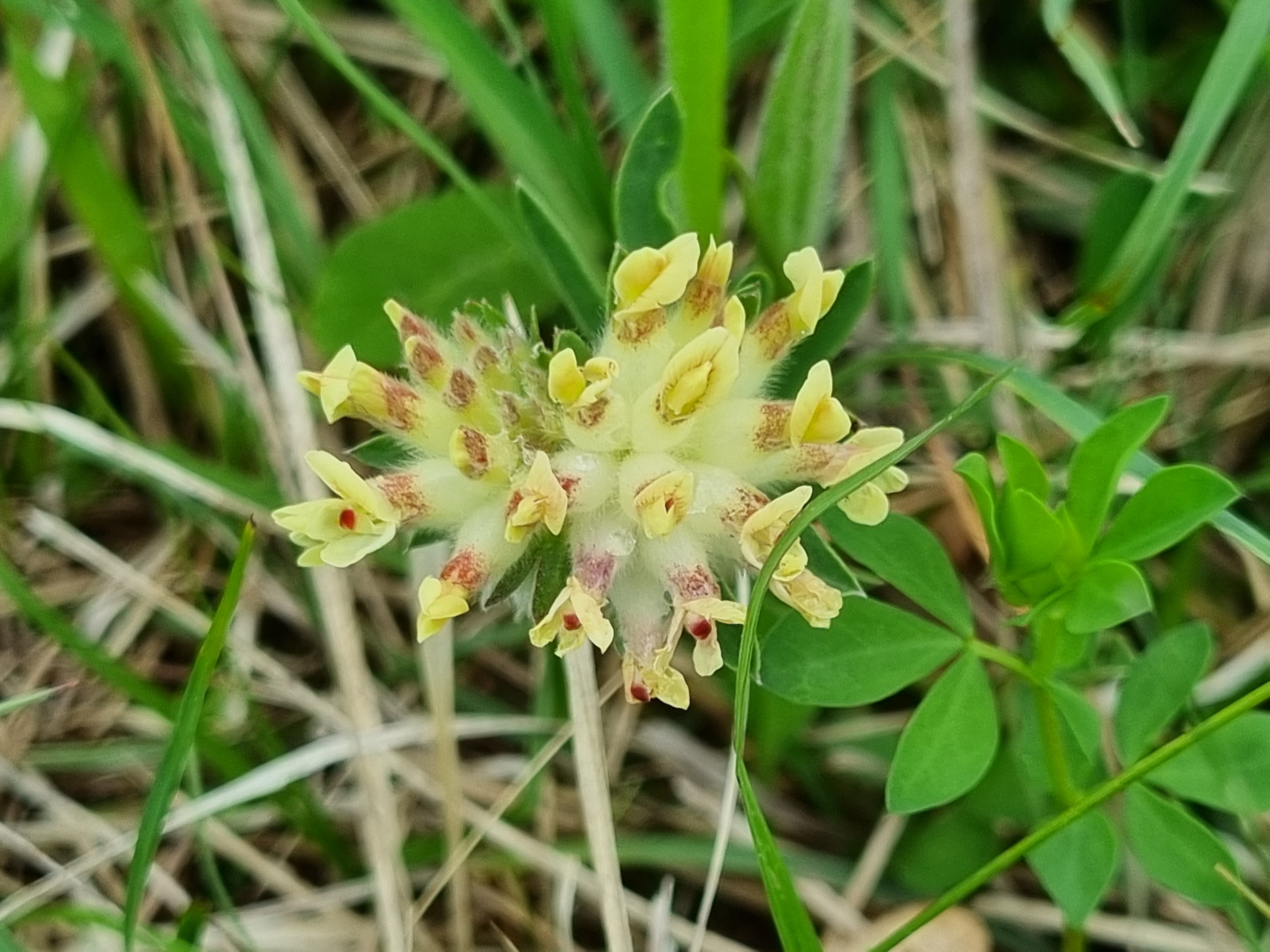 12052022185055 4162 art 560 20220508 144441