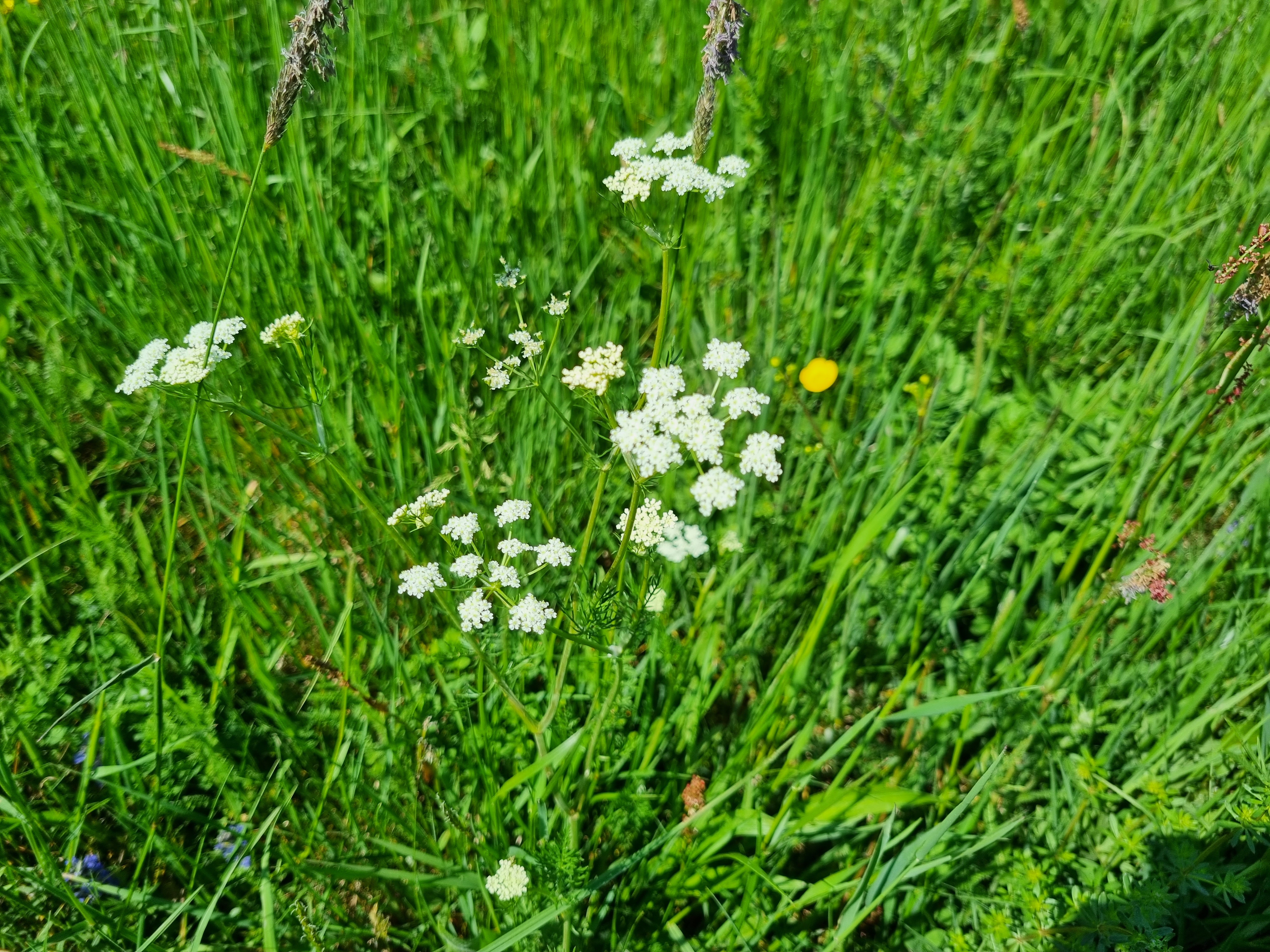 12052022190049 4163 art 502 20220505 111423