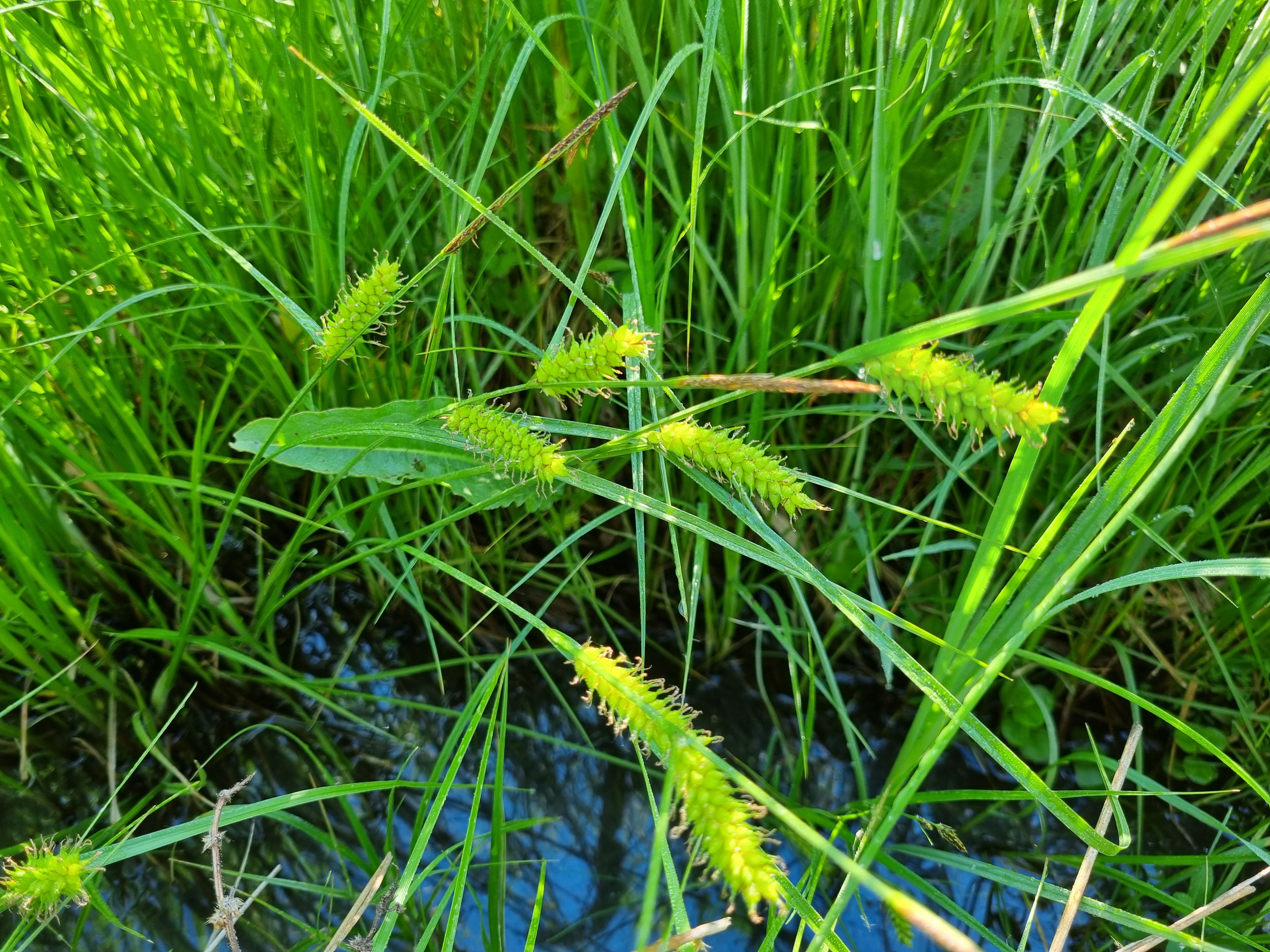 12052022191155 4164 art 367 20220512 082456