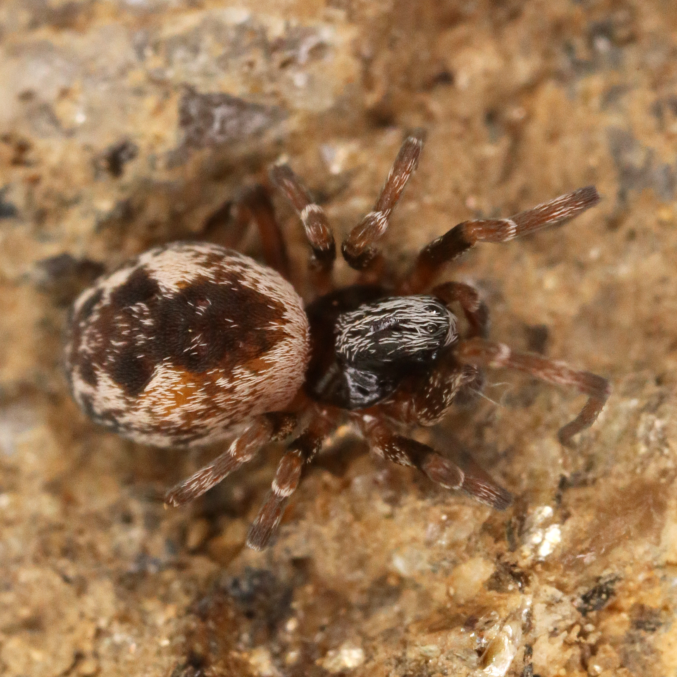 12062013162232 967 art 911 img 1461 3 1 1 2