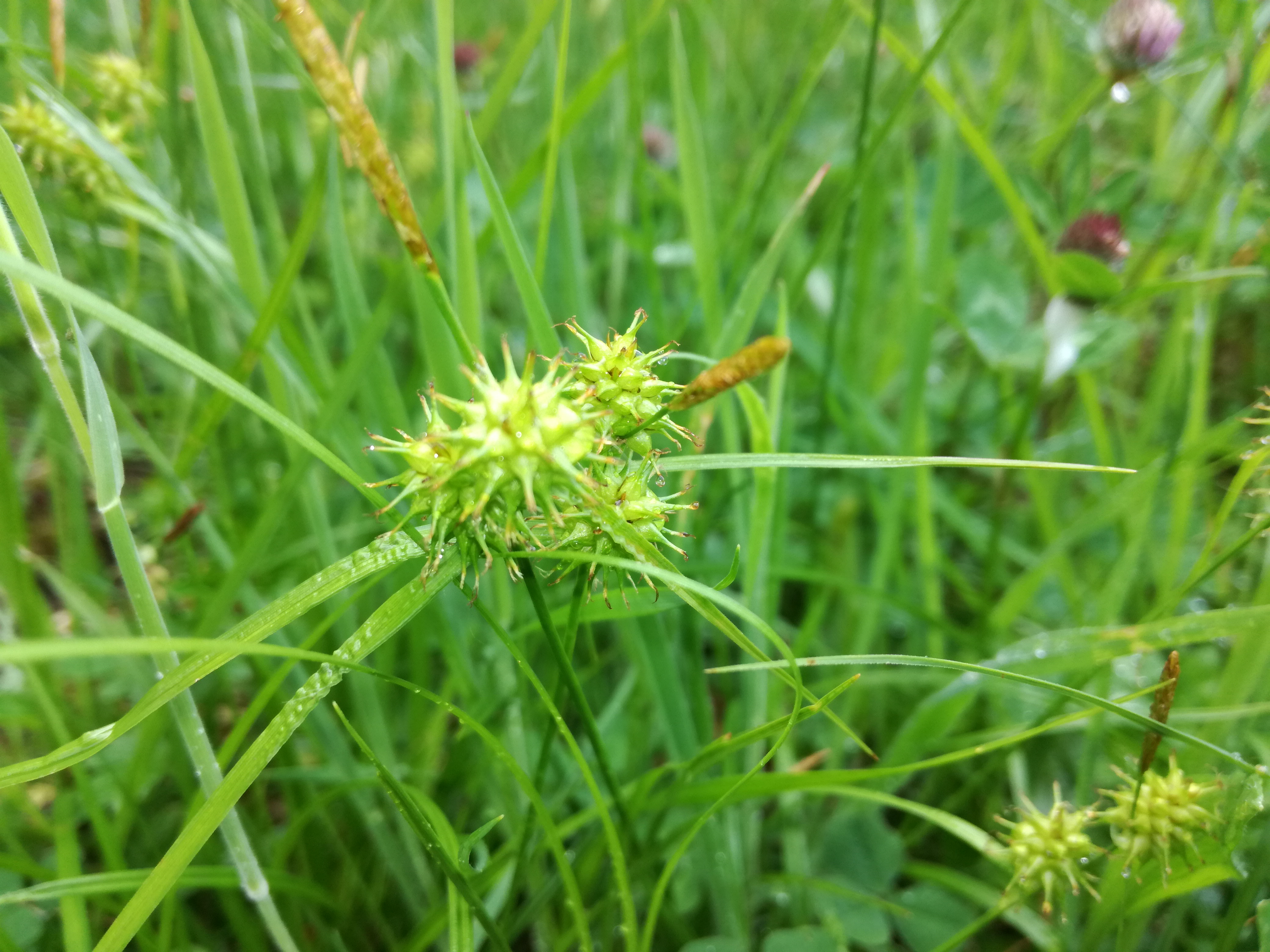 13052018105705 3610 art 2169 img 20180512 175752