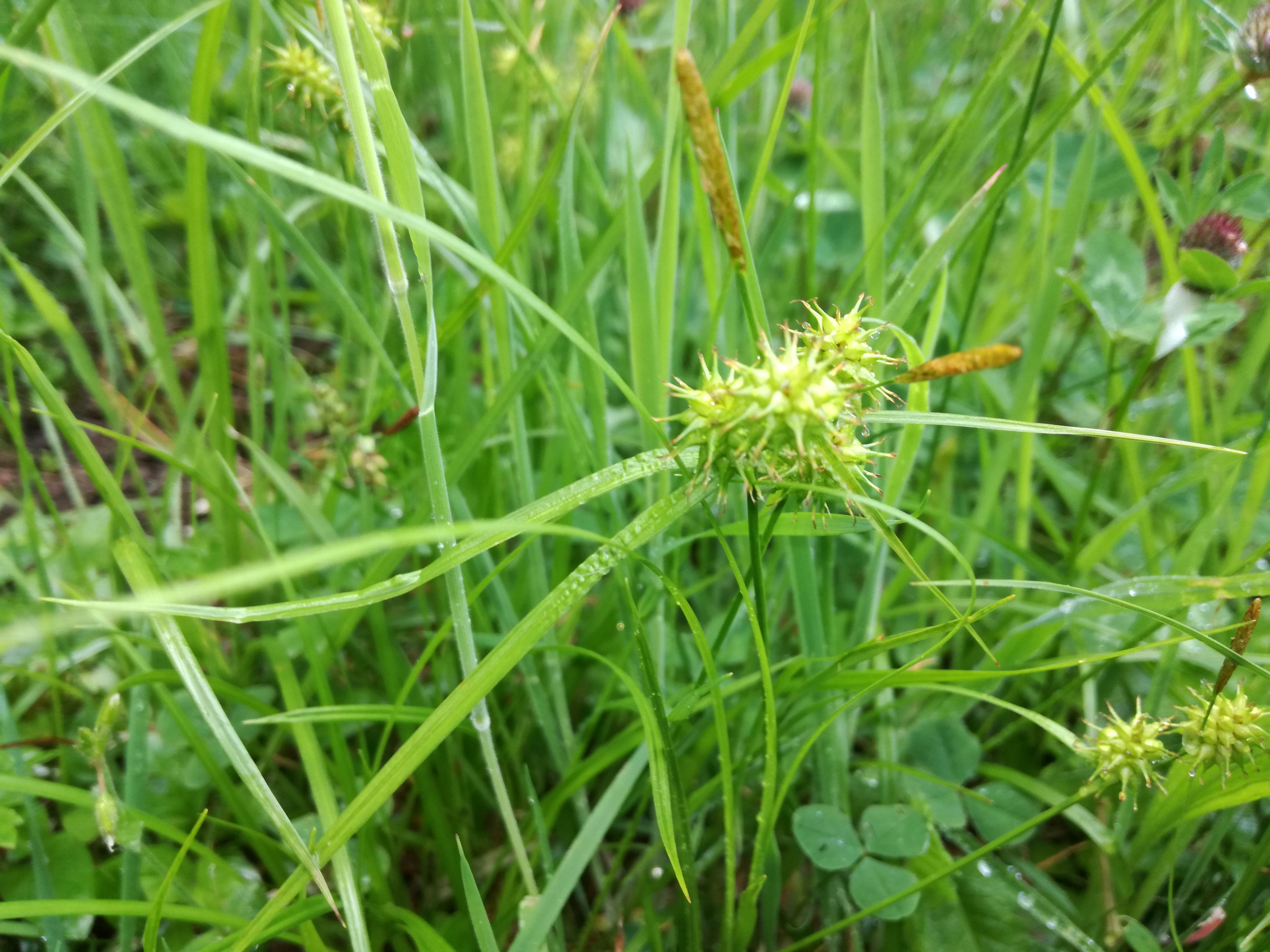 13052018105821 3611 art 2169 img 20180512 175837