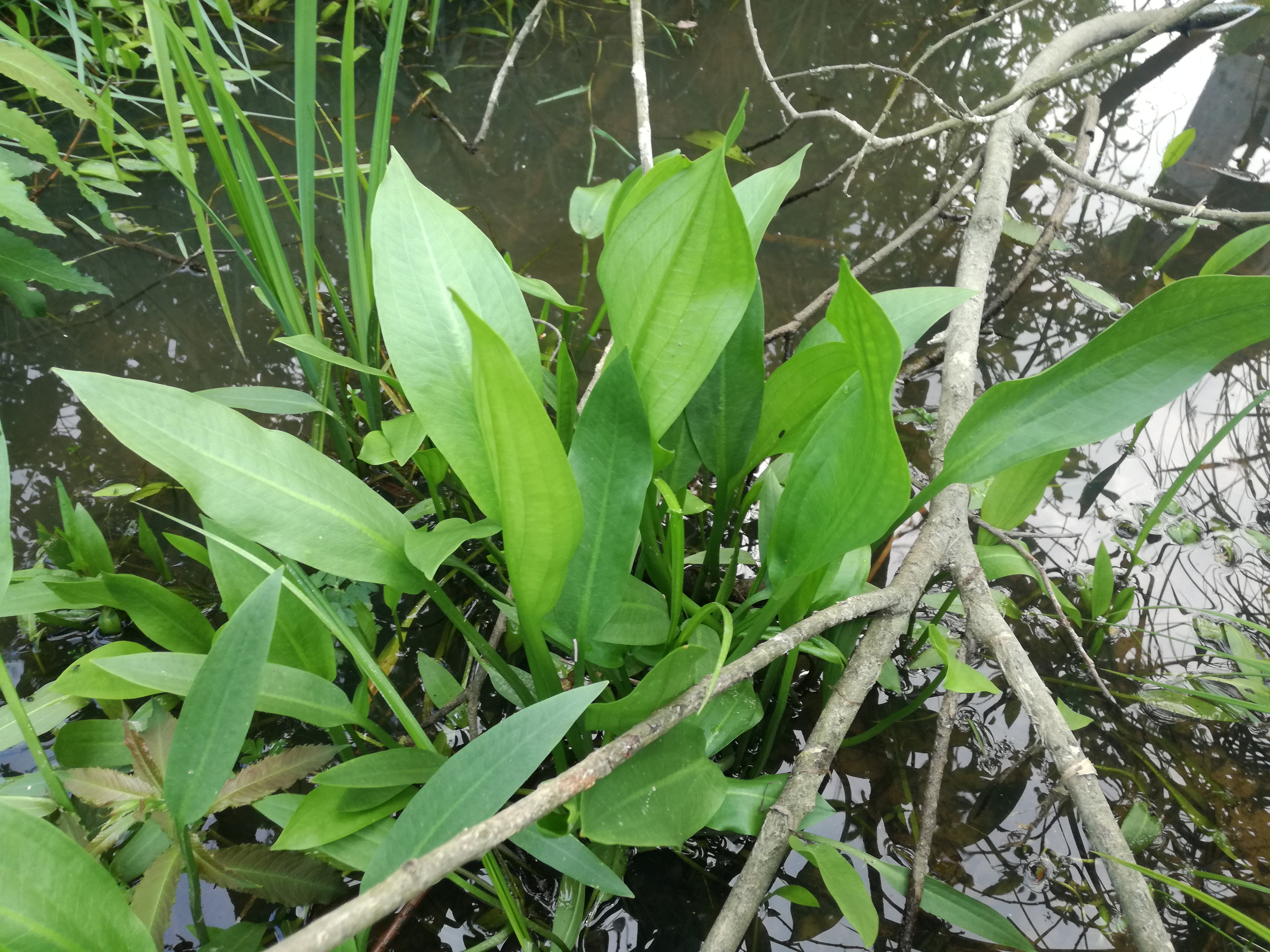 13052018113306 3612 art 1320 img 20180512 185529