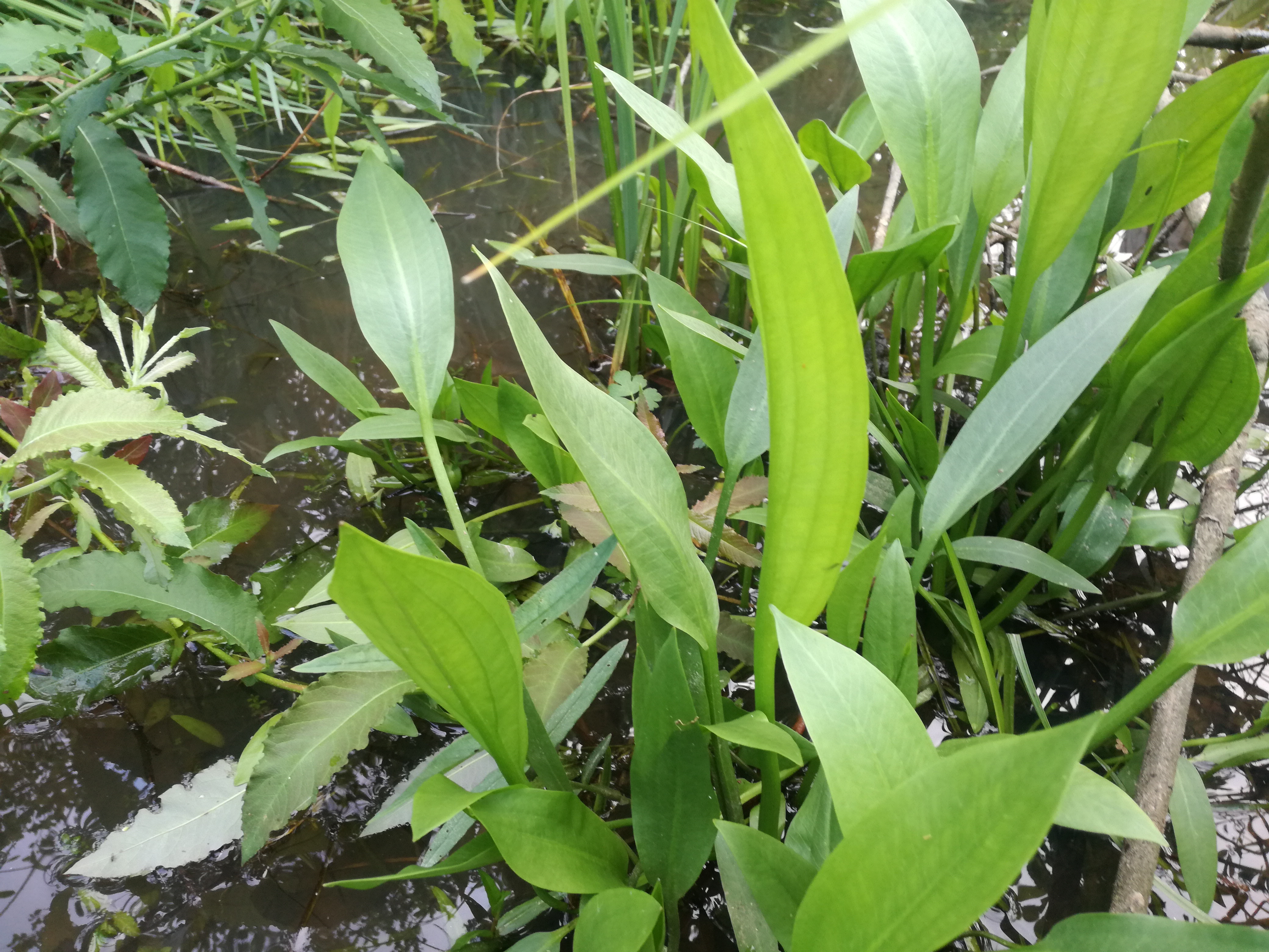 13052018113404 3613 art 1320 img 20180512 185534