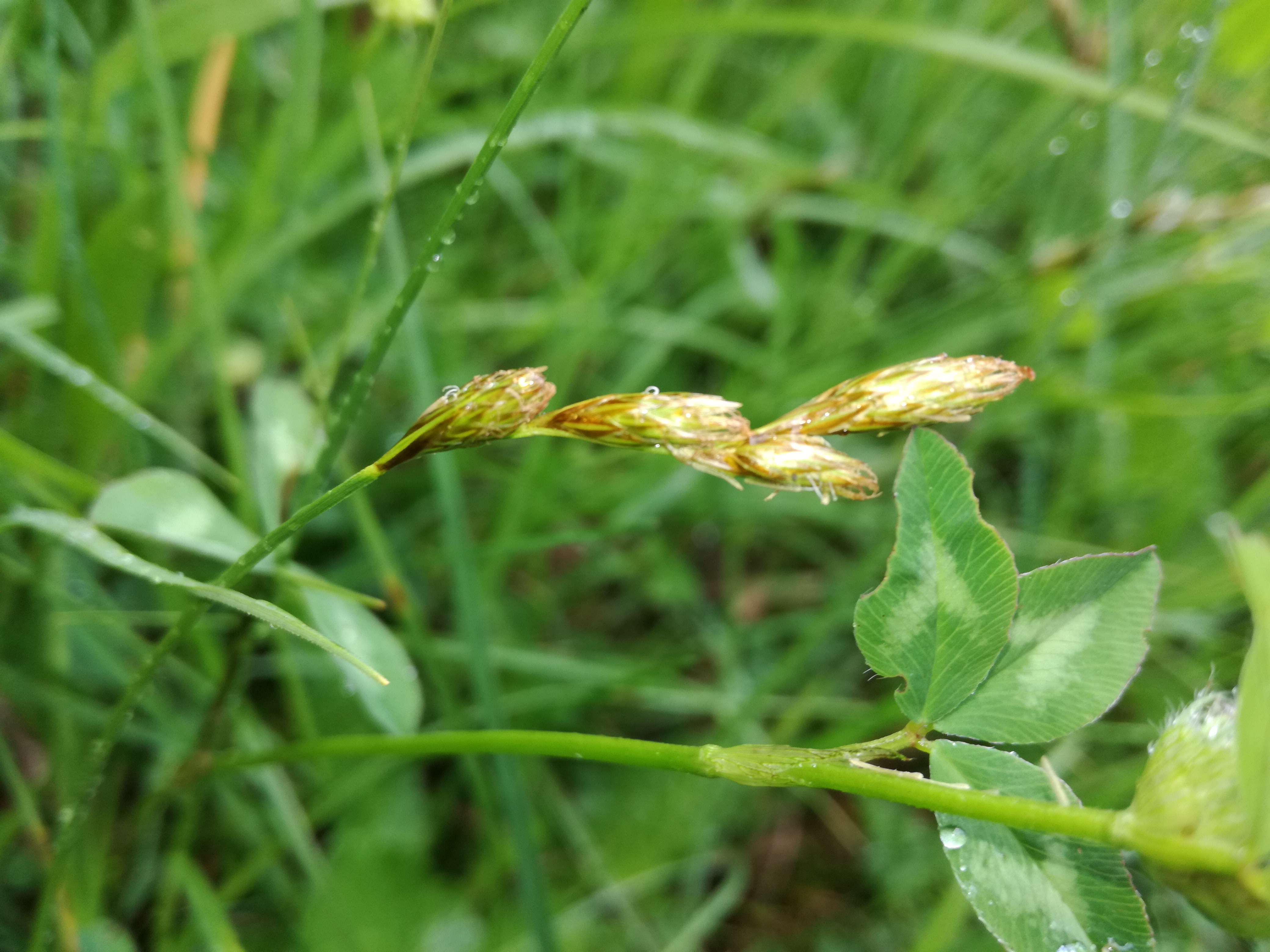 13052018121207 3614 art 2171 img 20180512 175827