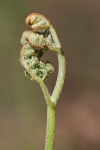 13082013132716 1345 art 1121 0 319