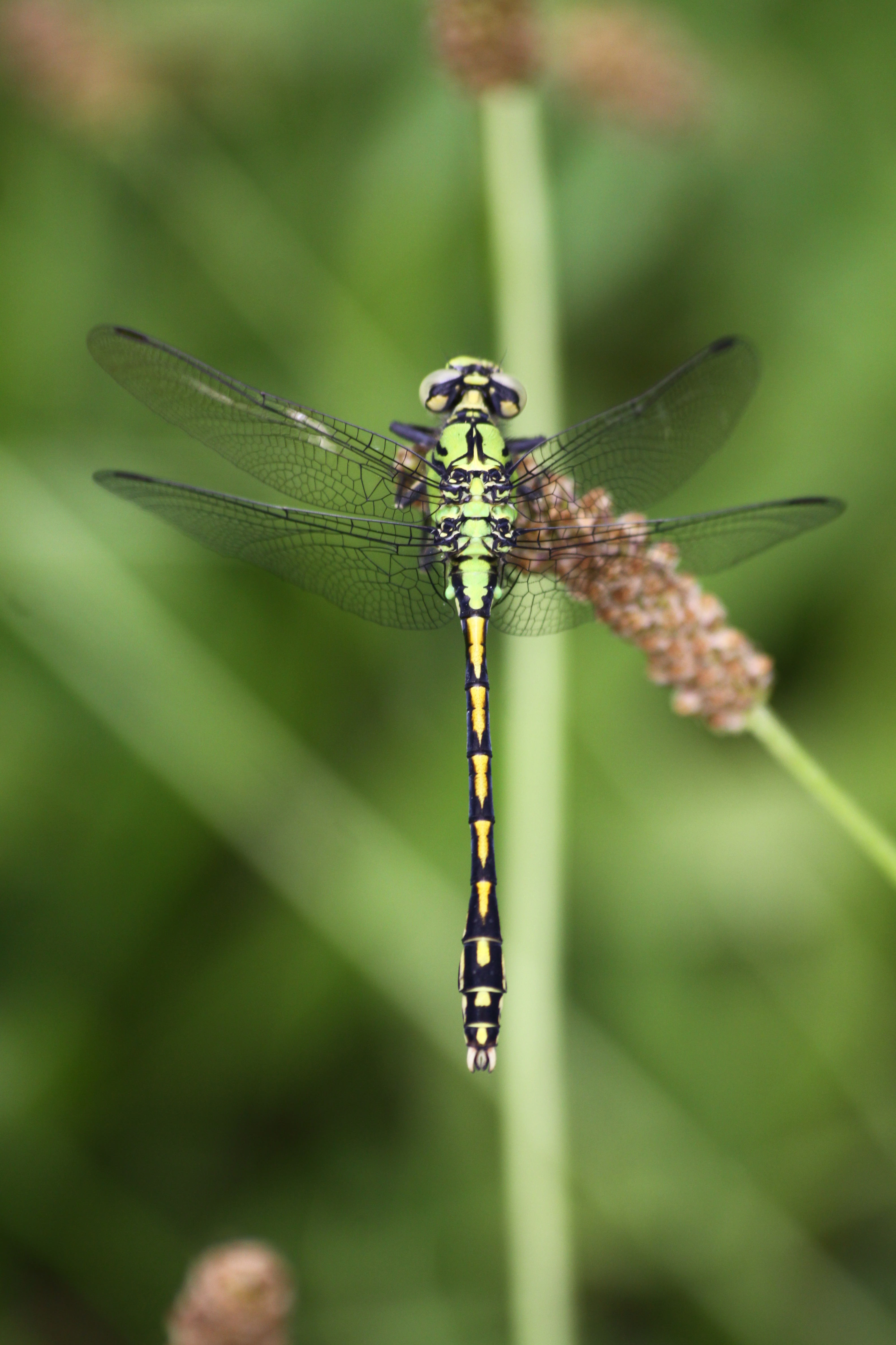 13082013145638 1361 art 956 unterrohr rauchmuhle 22 131