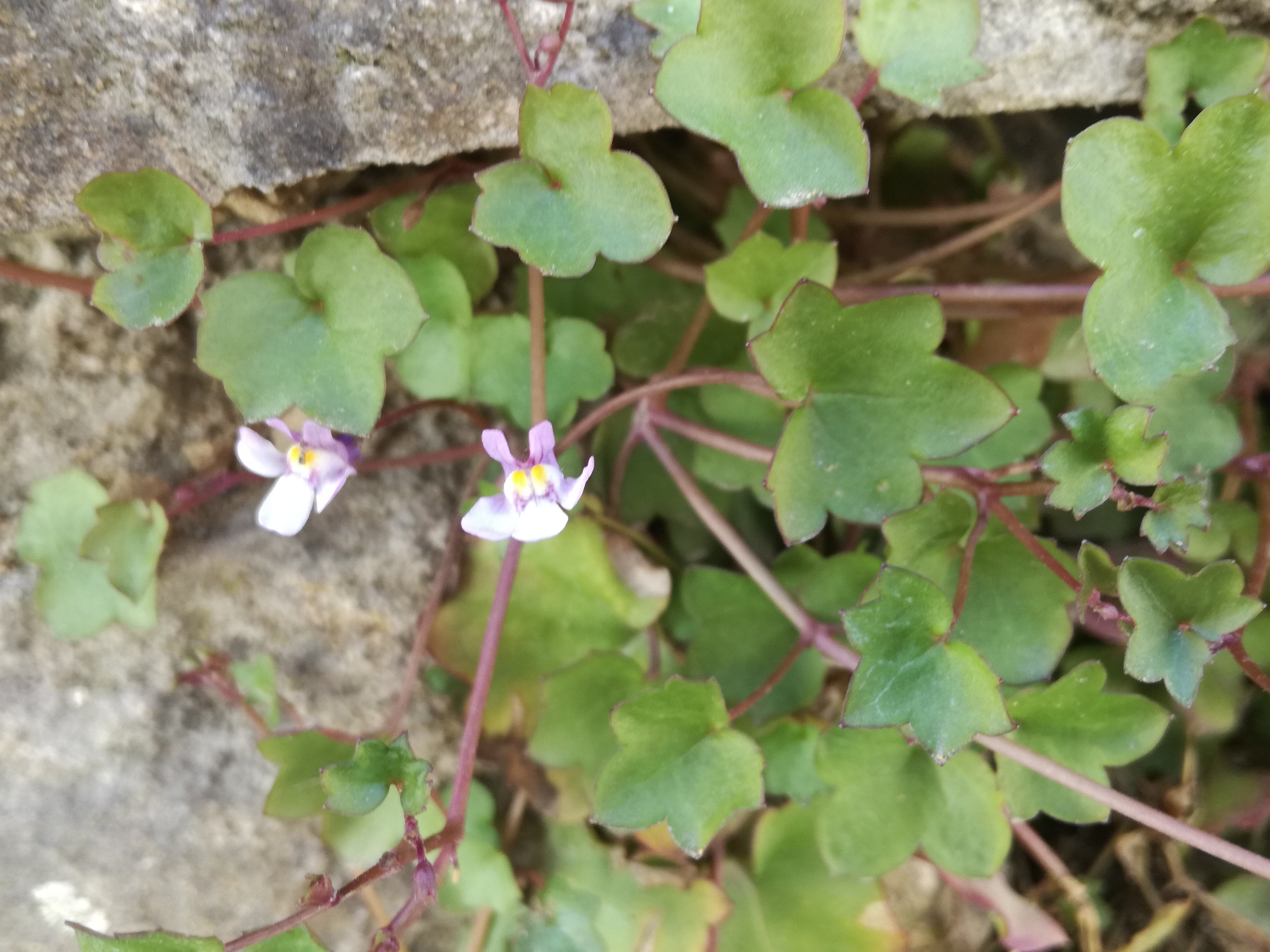 14042018193611 3507 art 2113 img 20180414 124407