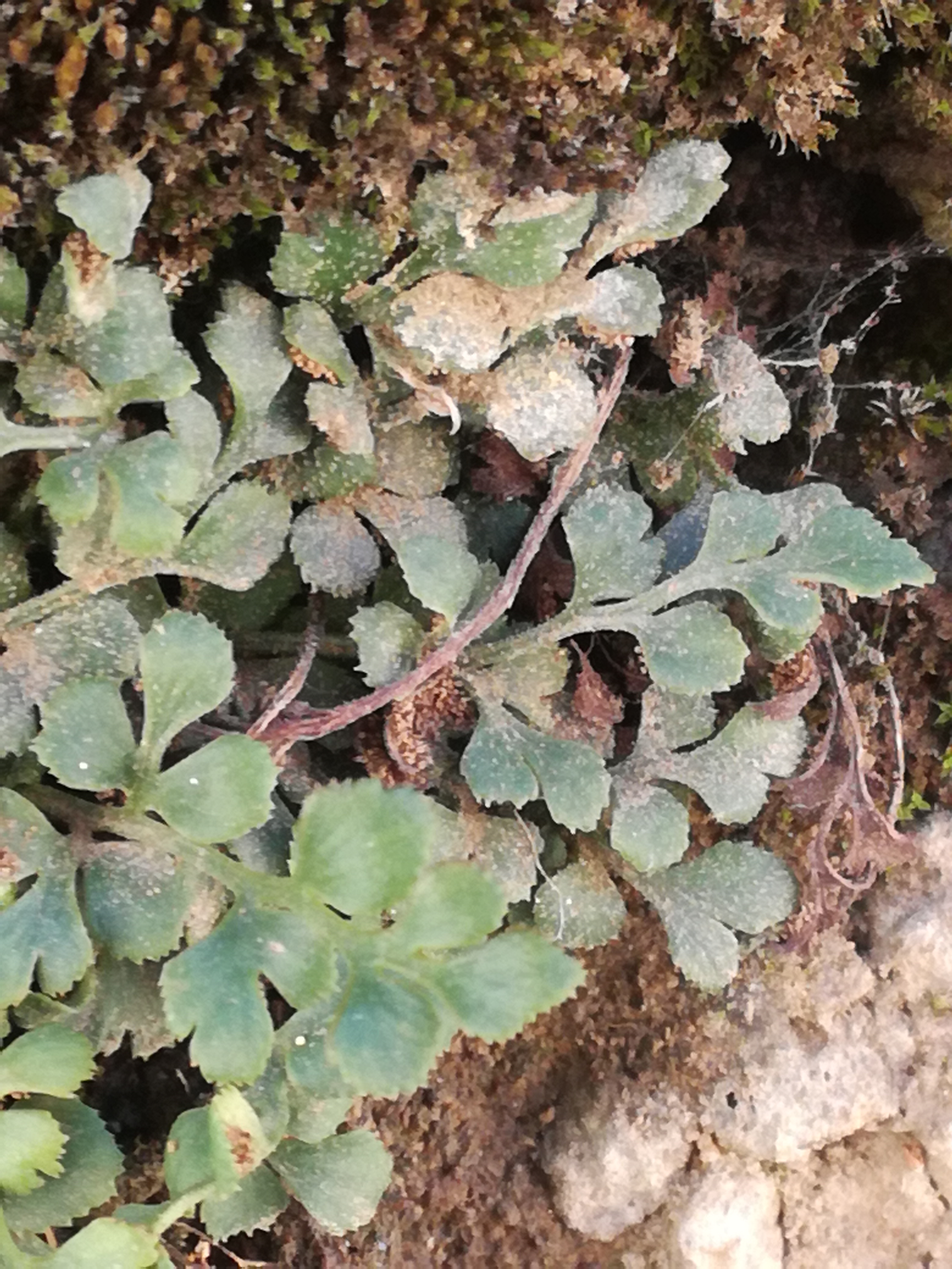 14042018194529 3508 art 2114 img 20180414 124313