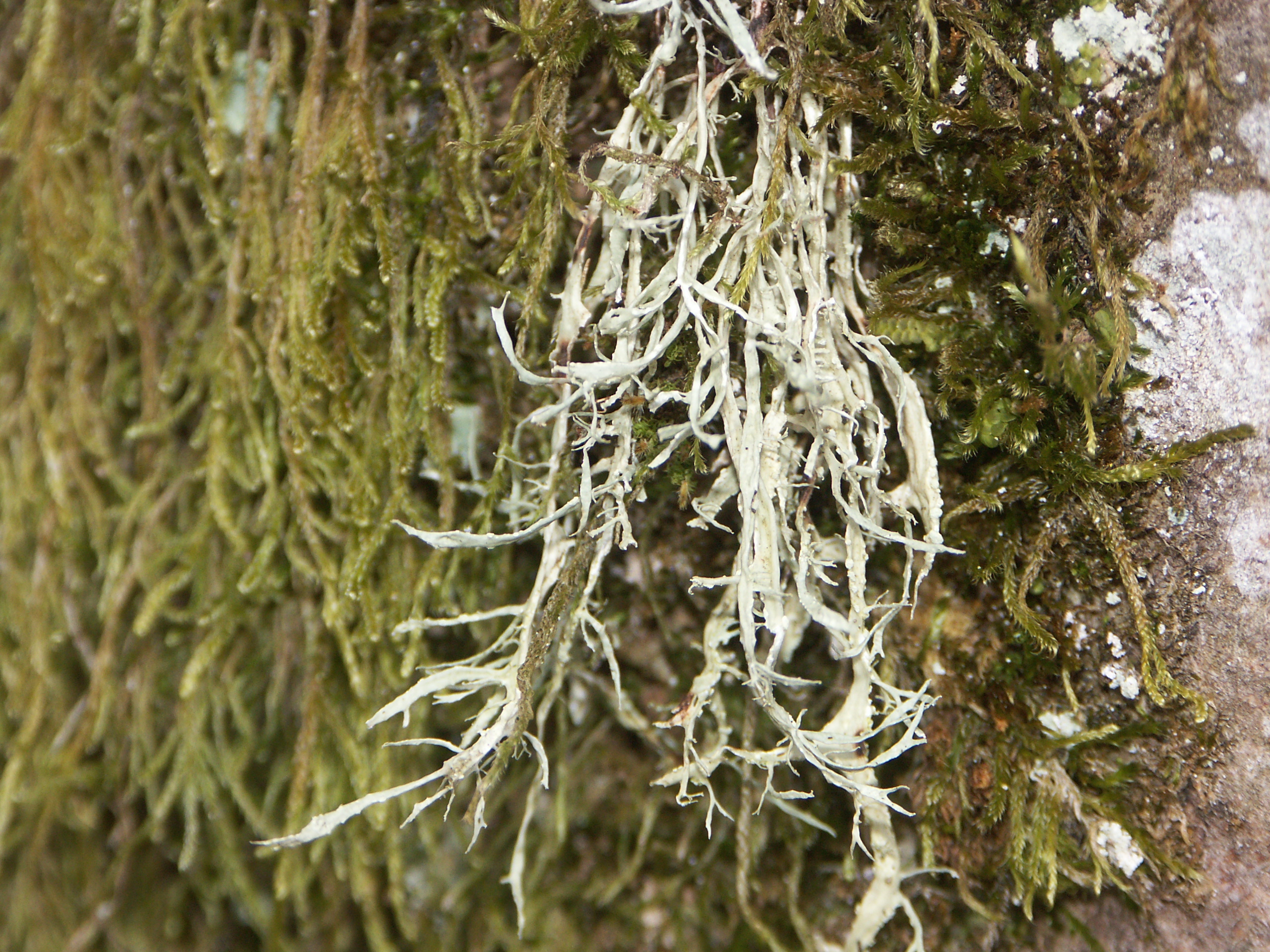 14052013171254 366 art 426 pict0113