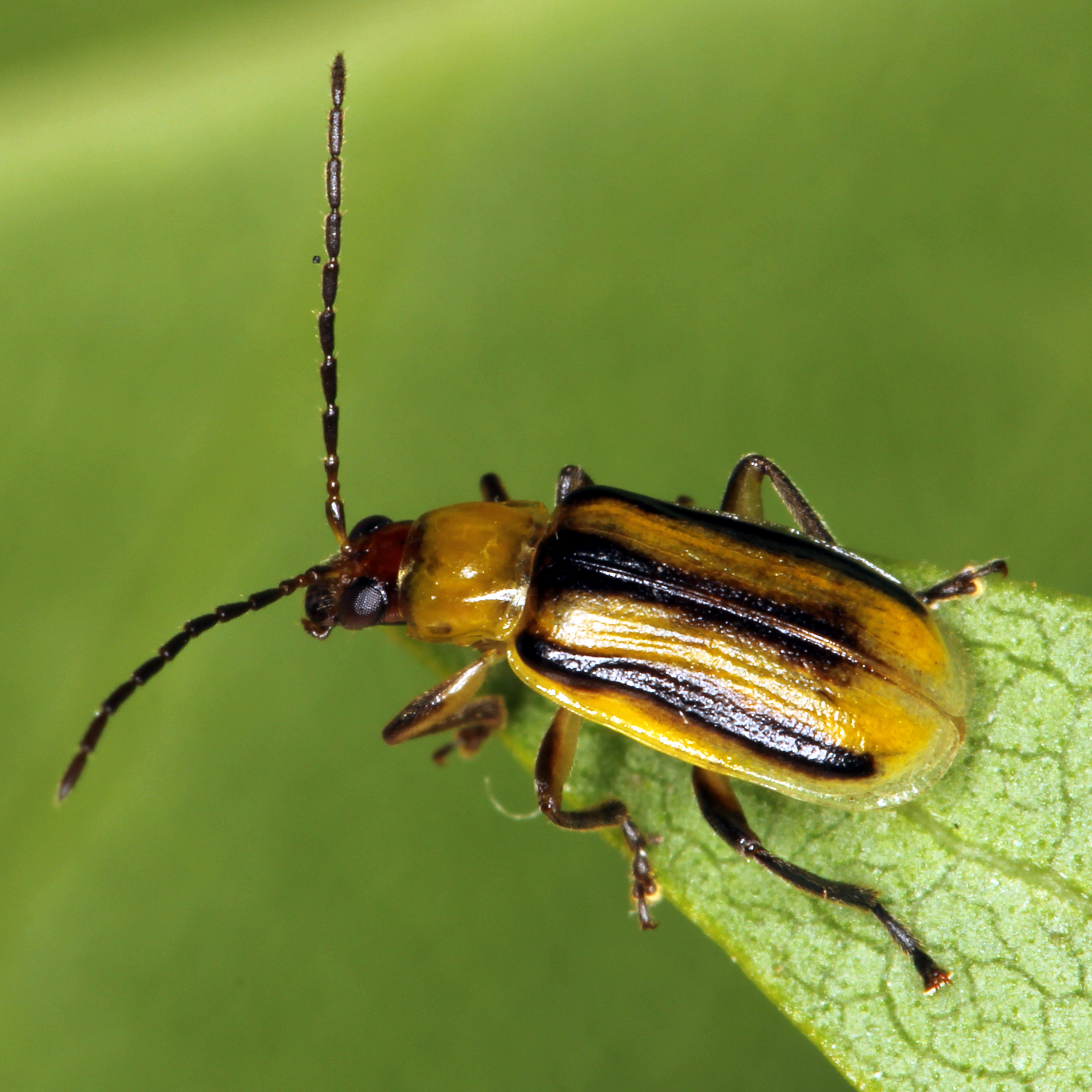 14082013095652 1432 art 692 img 2964