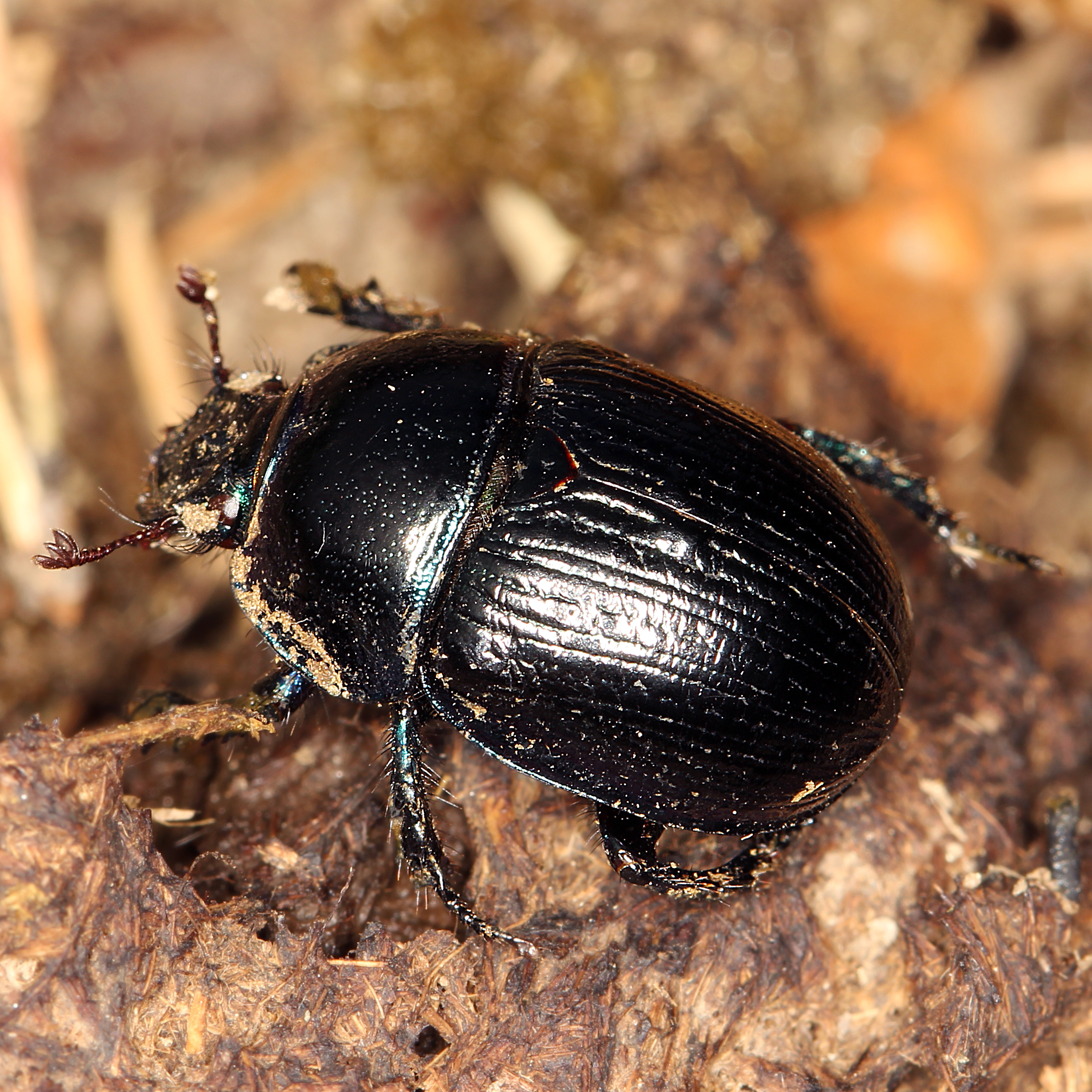 14082013095953 1433 art 694 img 3022