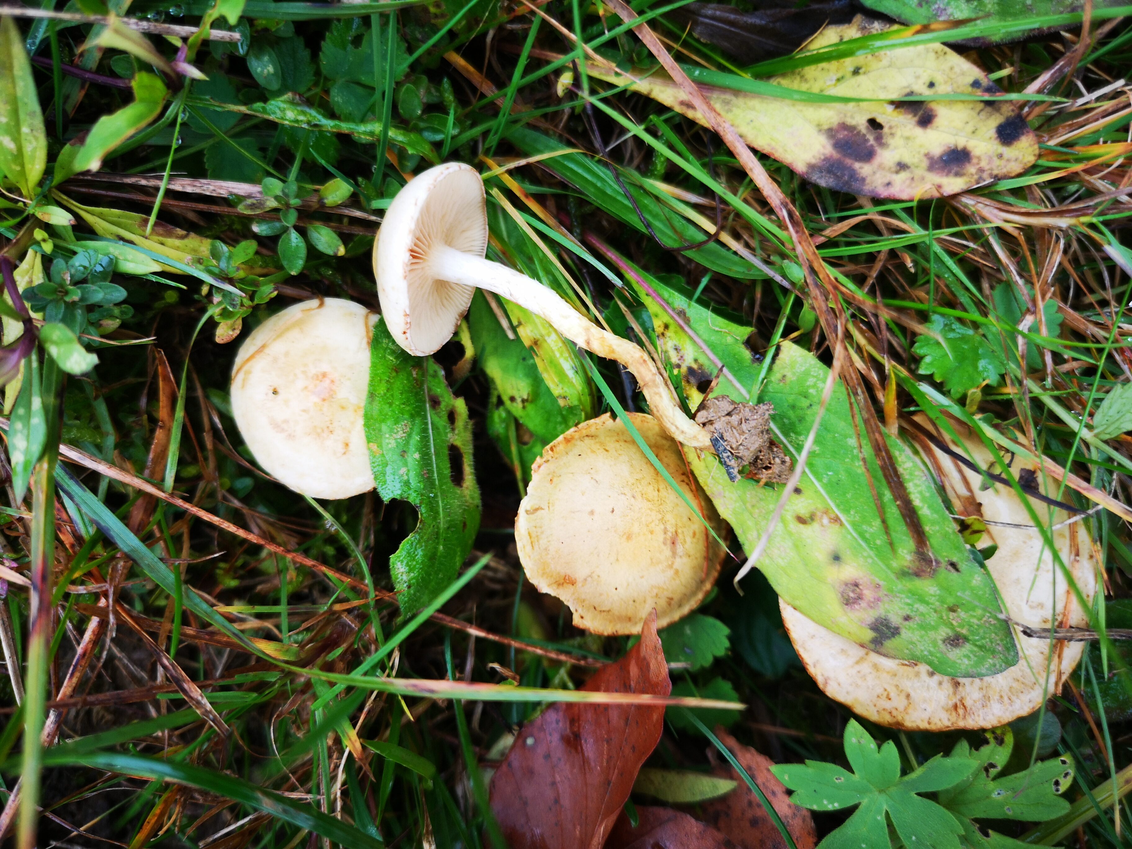 14112021111207 4120 art 1980 img 20211113 145814