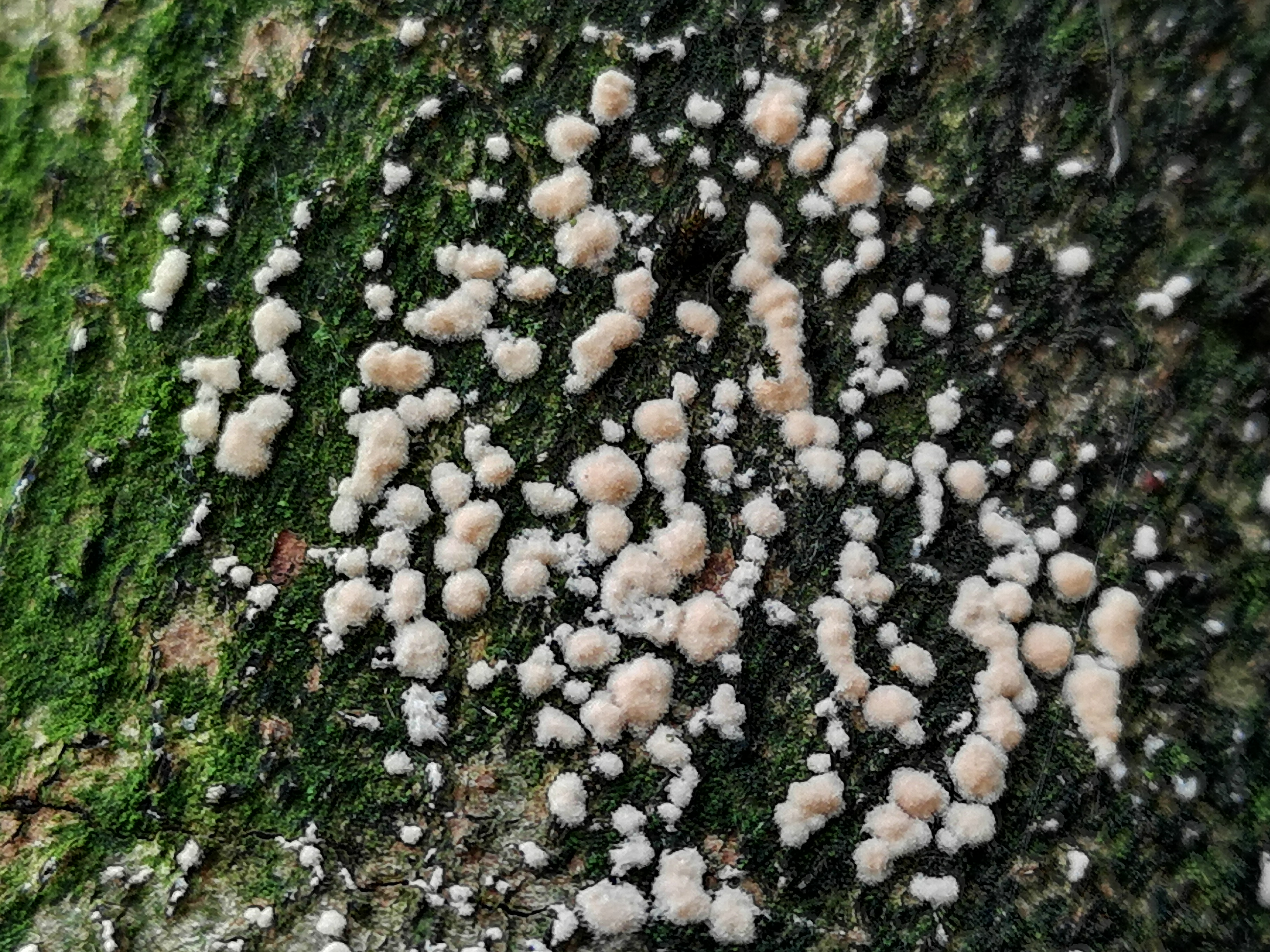 14112021121435 4132 art 665 img 20211105 112203