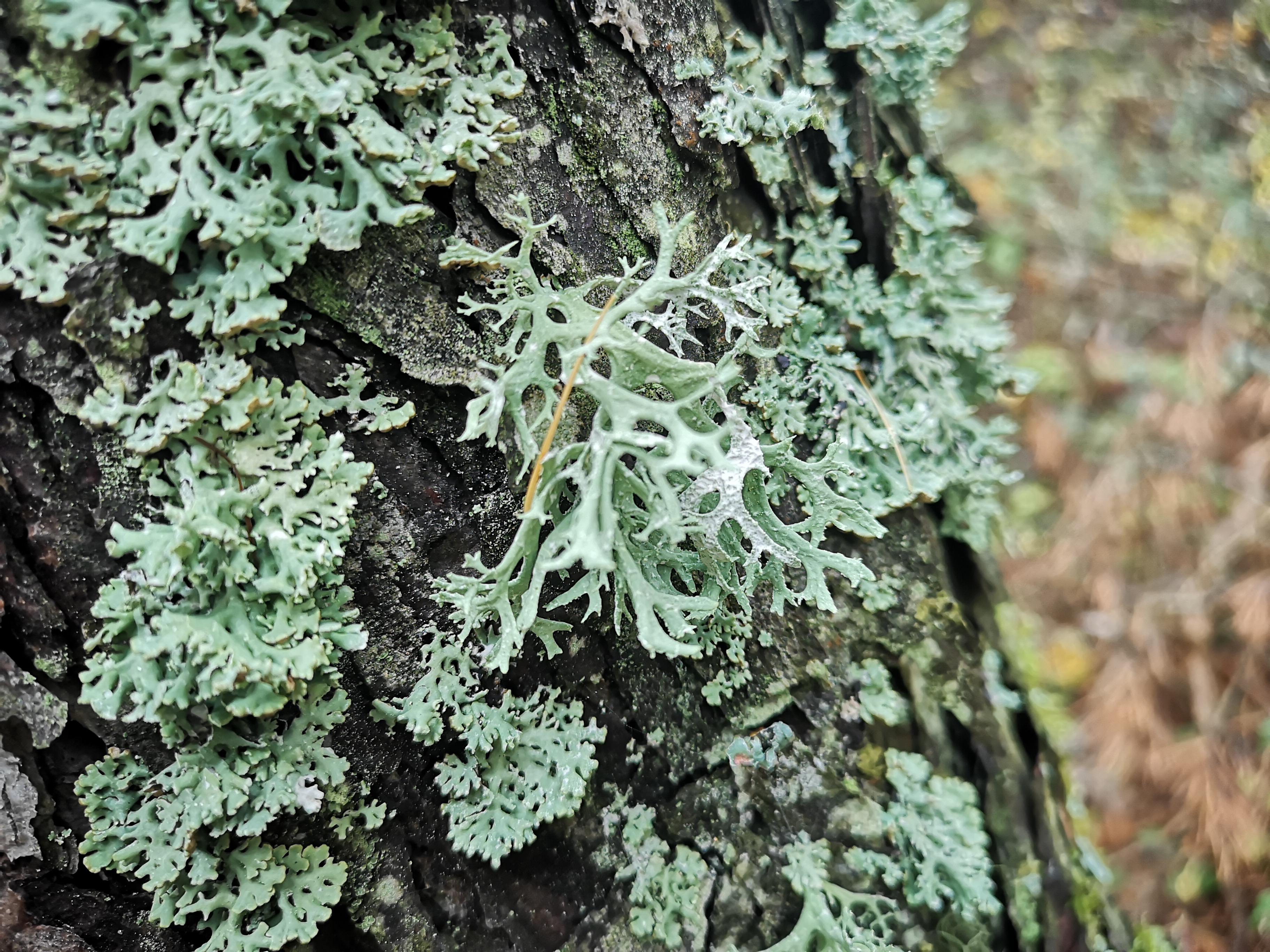 14112021132837 4140 art 406 img 20211103 121923