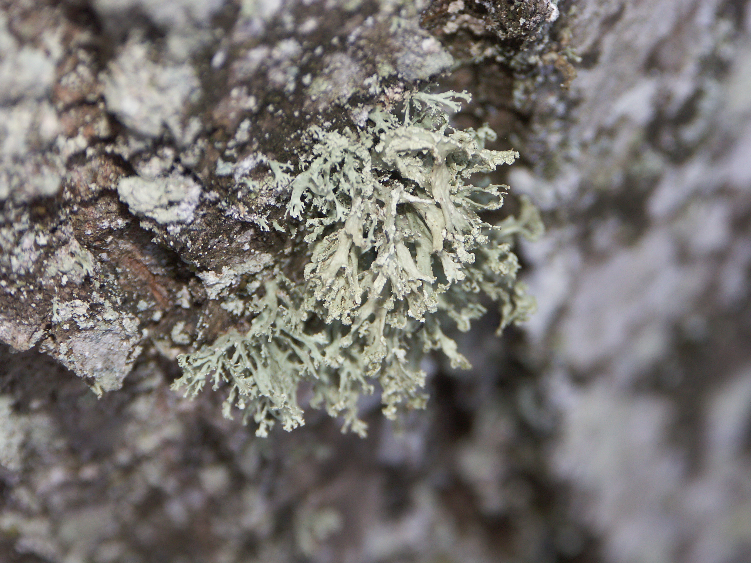 15052013094422 391 art 455 pict0110