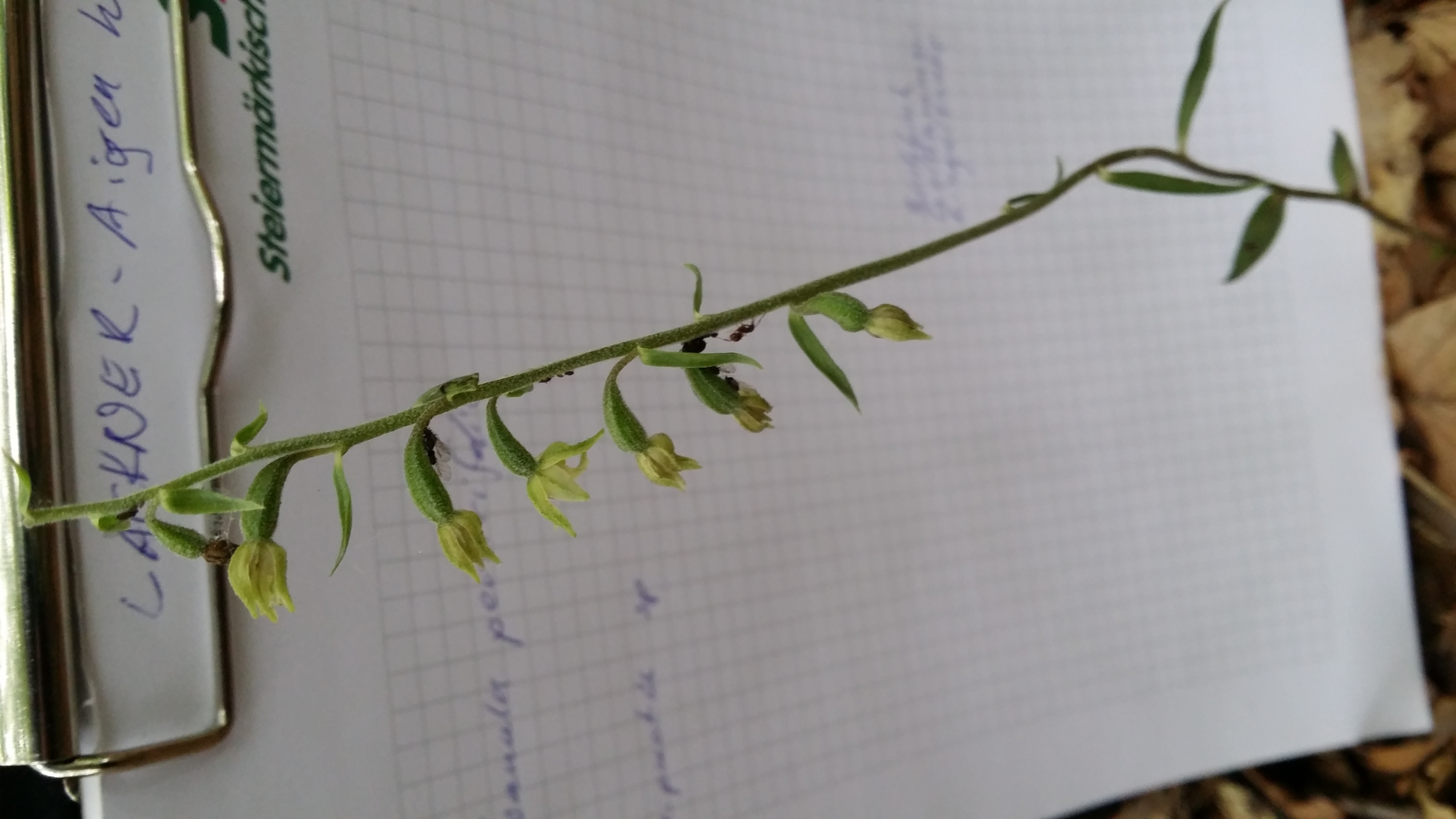 15062016003406 2826 art 1753 20160614 135832