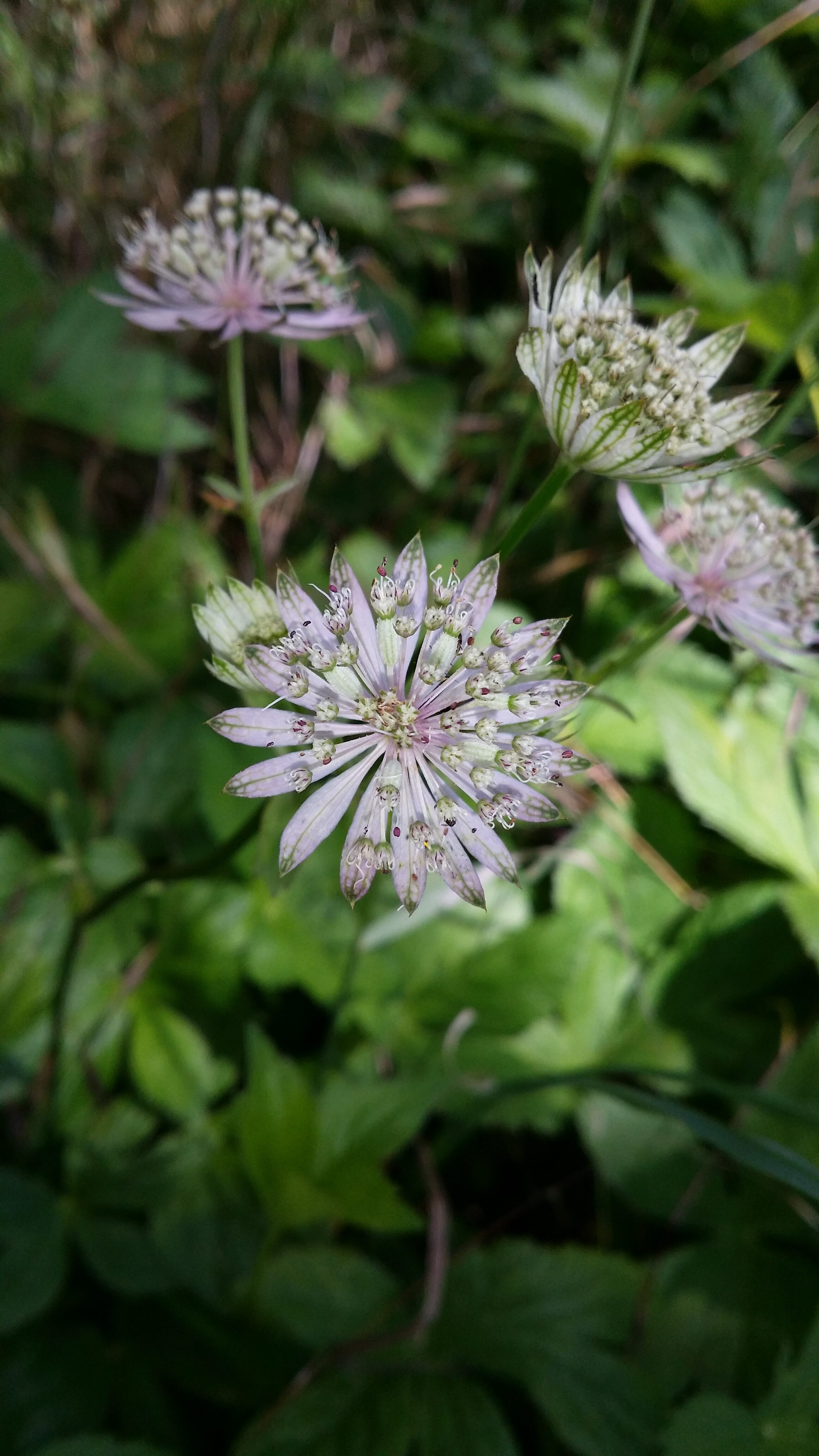 15062016010700 2830 art 1440 20160614 112726