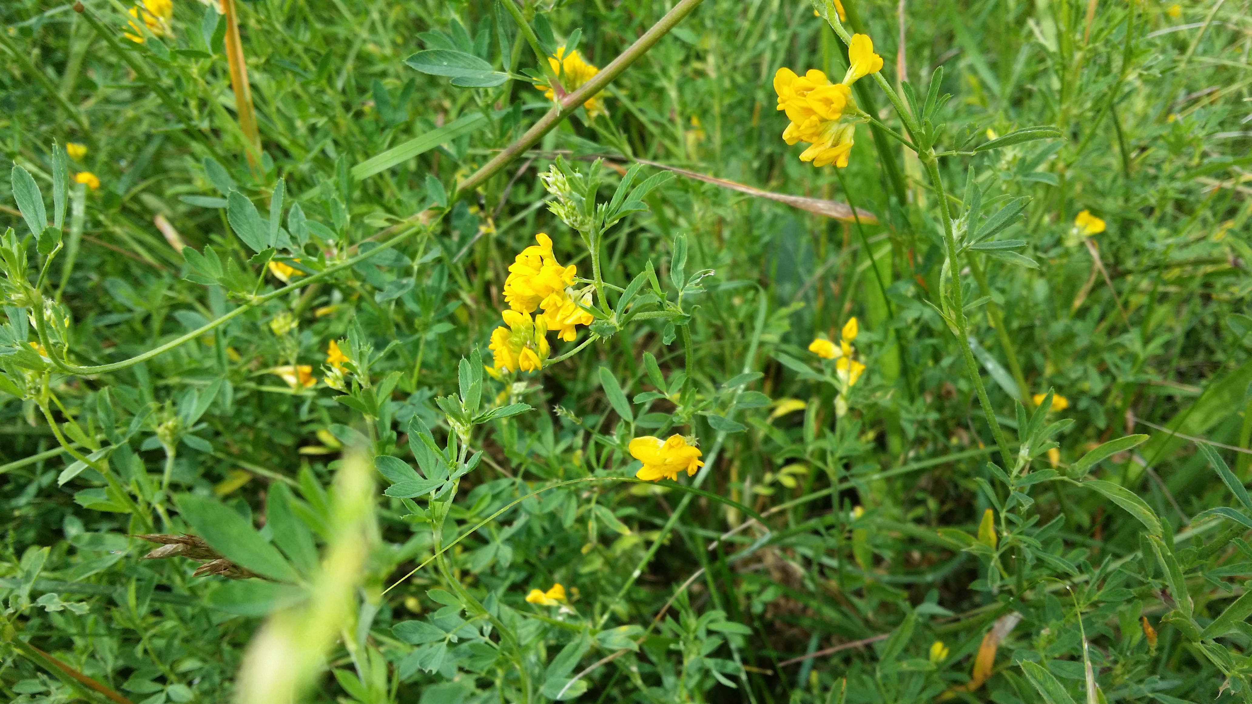 15062016011847 2831 art 1757 20160613 111902