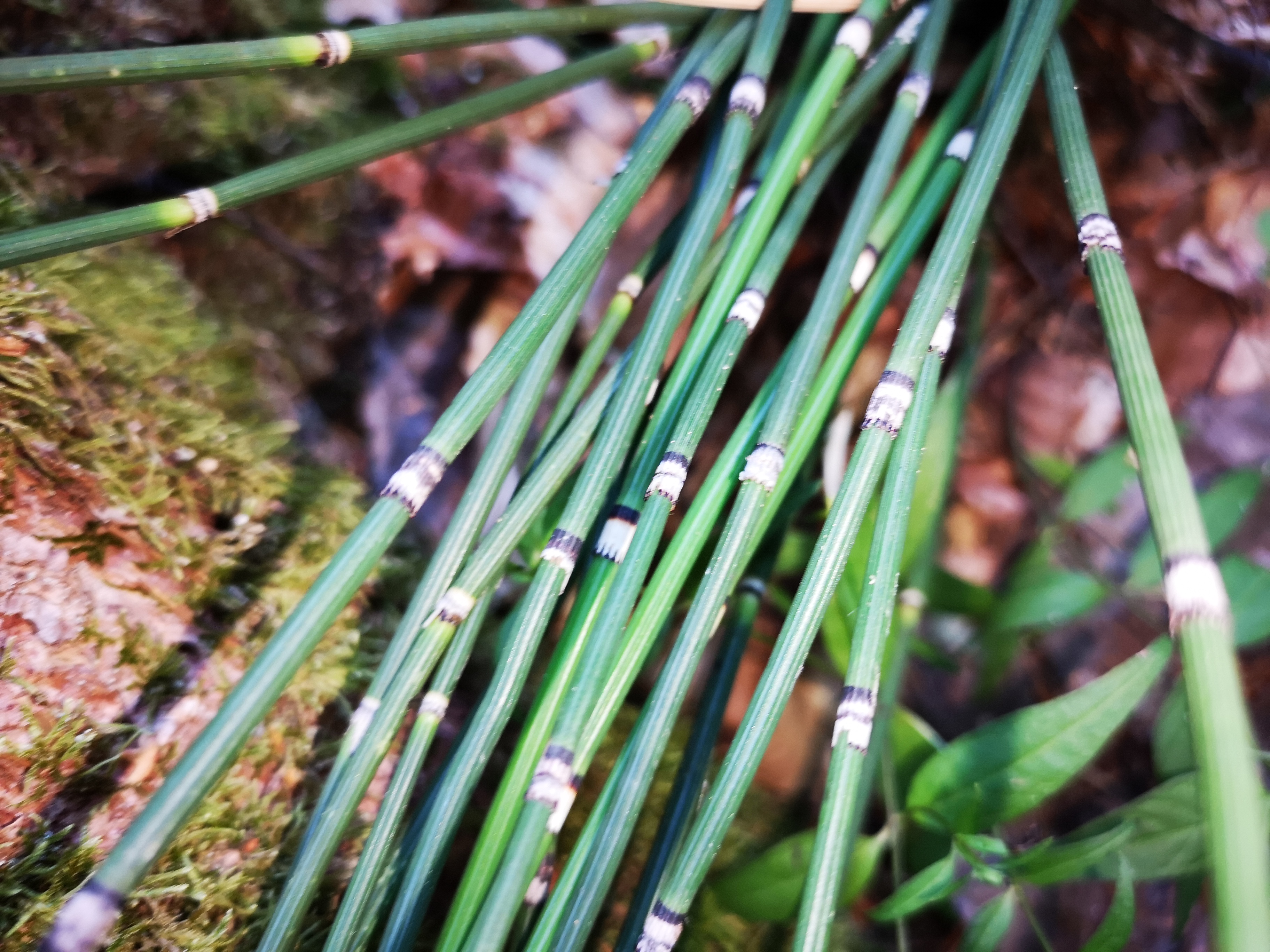 15082018200144 3847 art 2284 img 20180812 101607