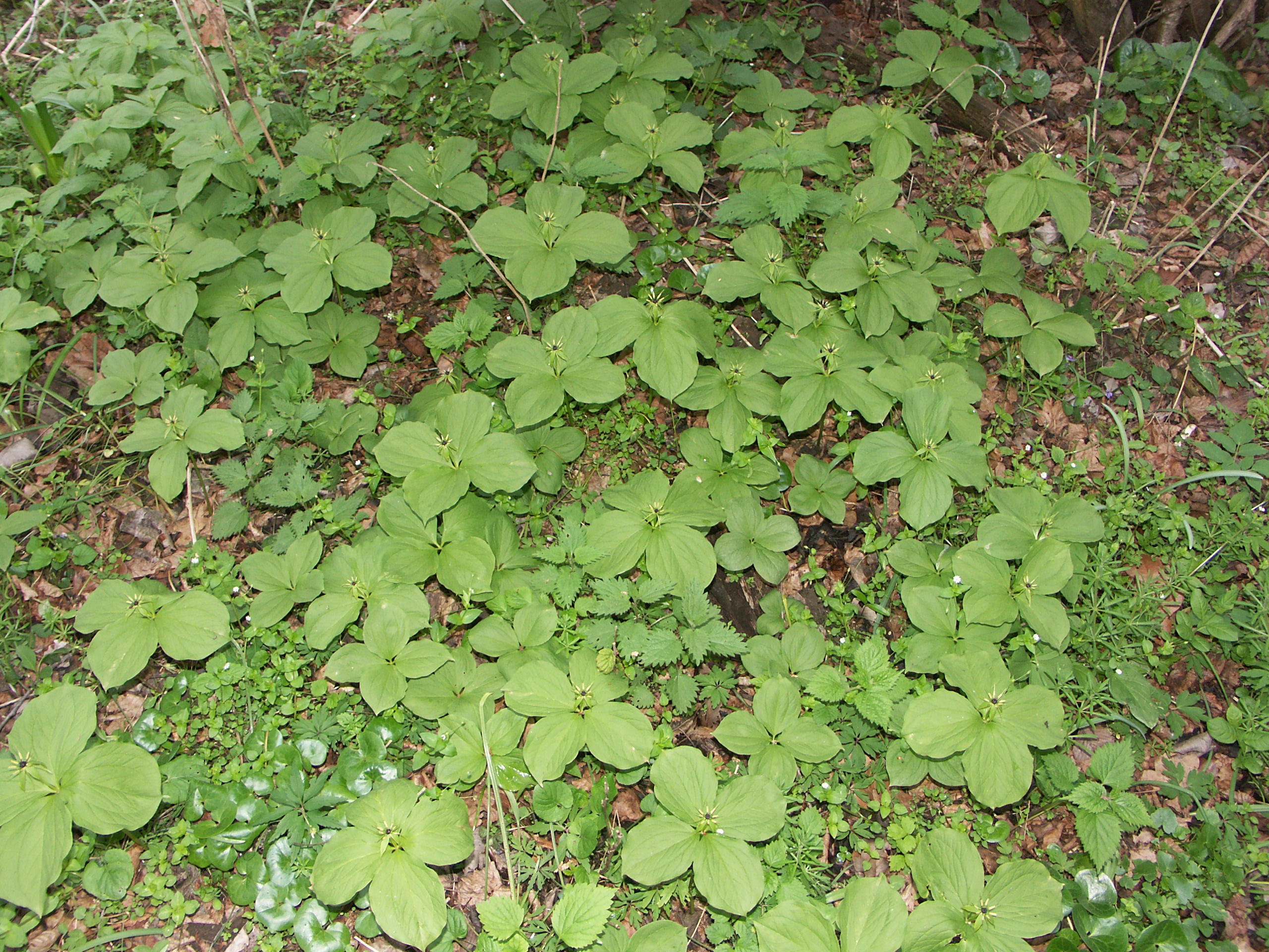 15122013143016 2229 art 1422 pict0044